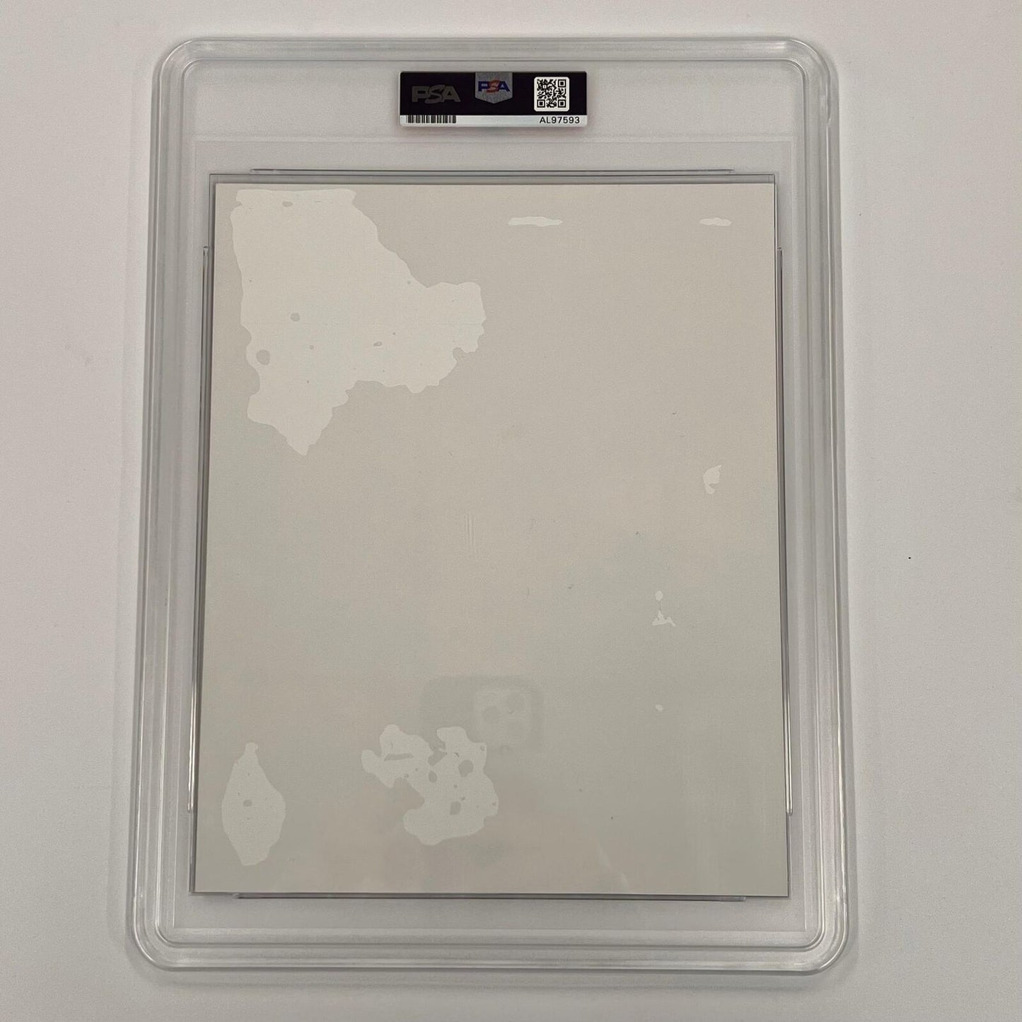 Taylor Hawkins signed 8x10 photo PSA/DNA Slabbed Autographed Drummer Foo Fighter