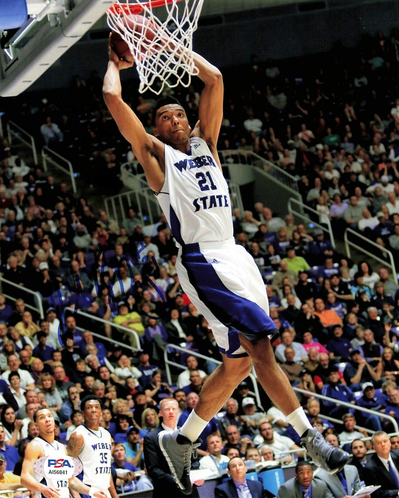 Joel Bolomboy signed 8x10 photo PSA/DNA Weber State Wildcats Autographed