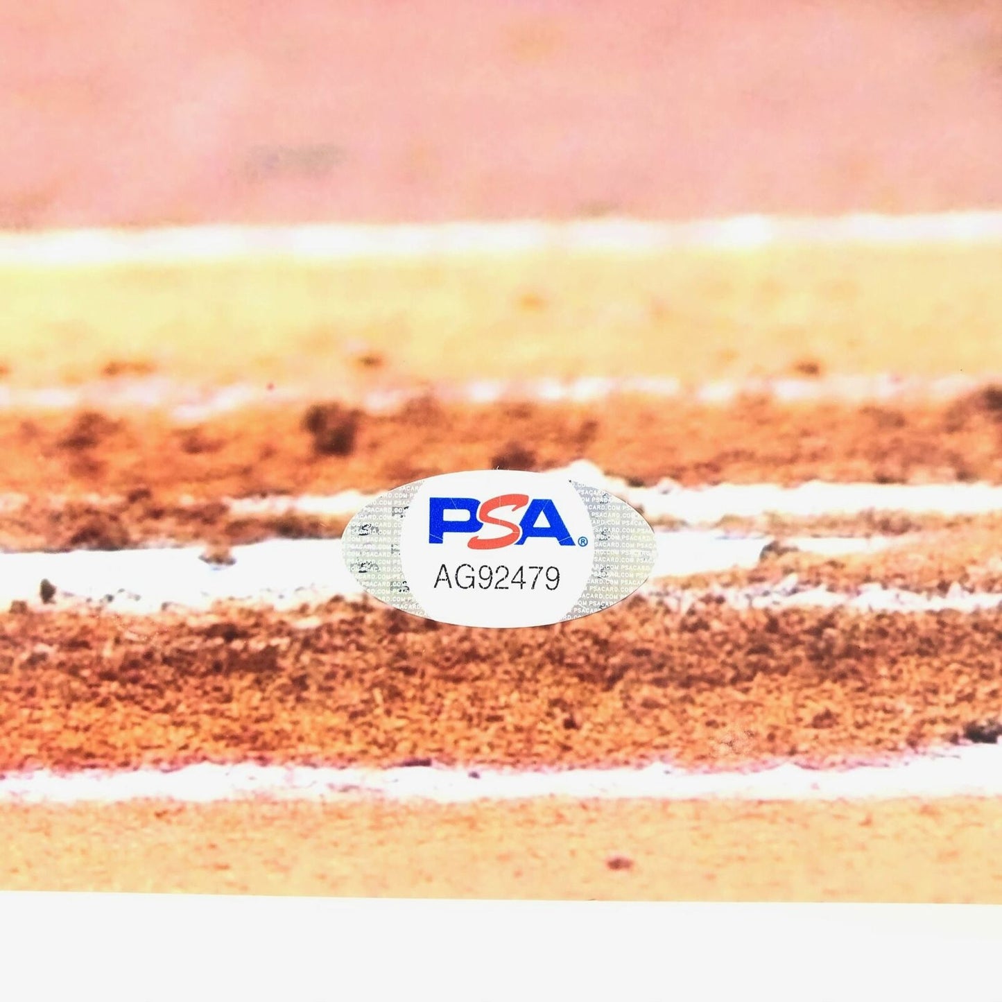 Cole Tucker signed 11x14 Photo PSA/DNA Pittsburgh Pirates autographed