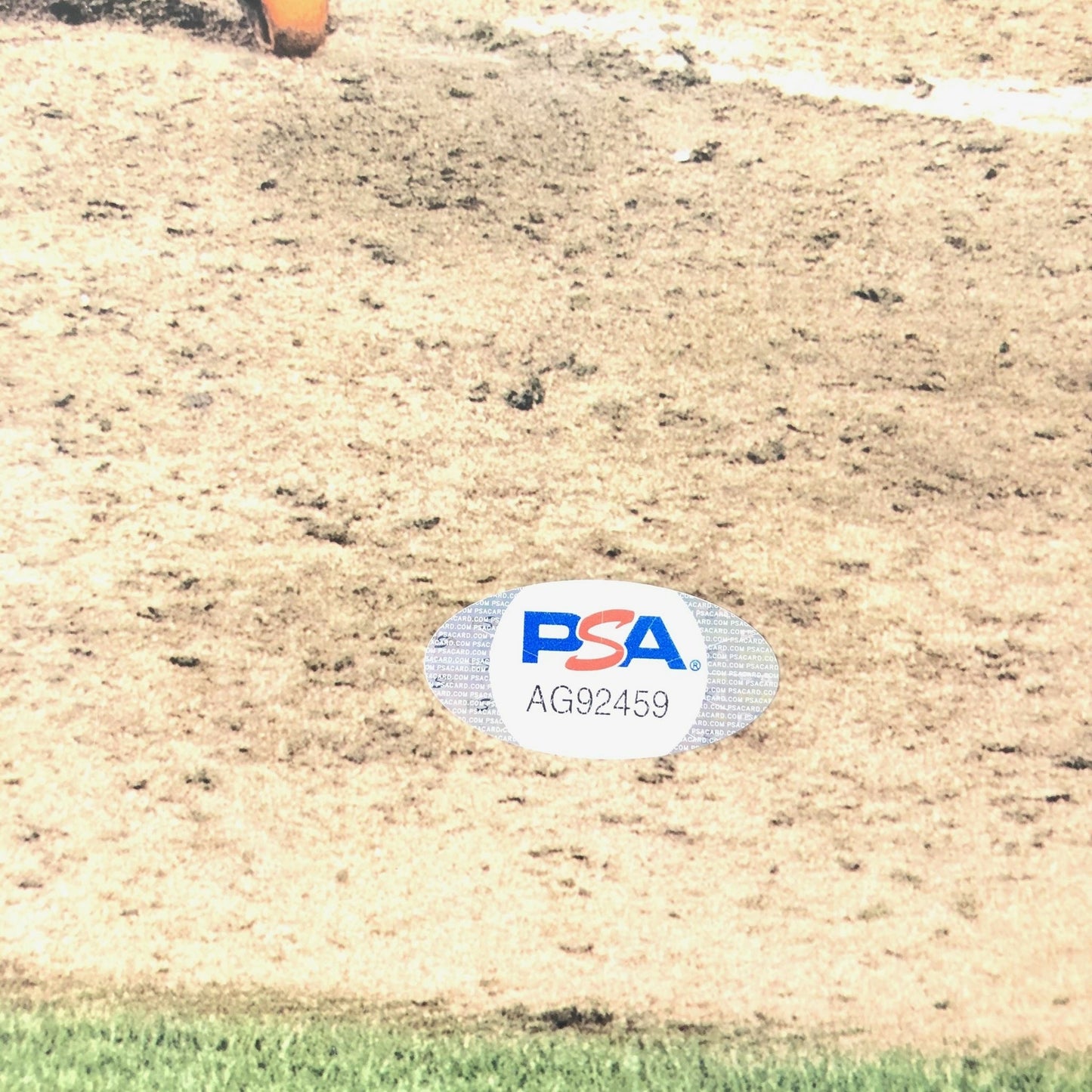 Chaz Roe signed 11x14 photo PSA/DNA Tampa Bay Devil Rays Autographed