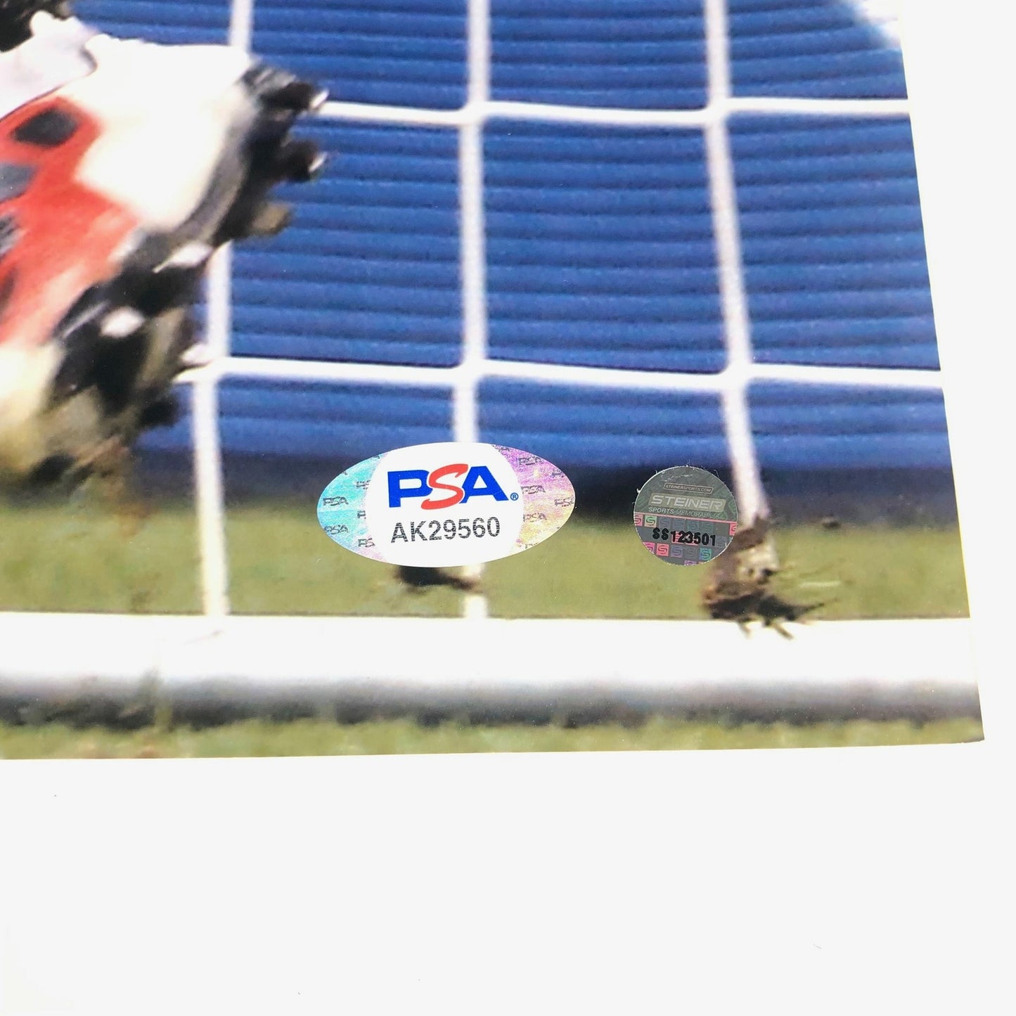 Hope Solo signed 16x20 photo PSA/DNA Team USA Autographed