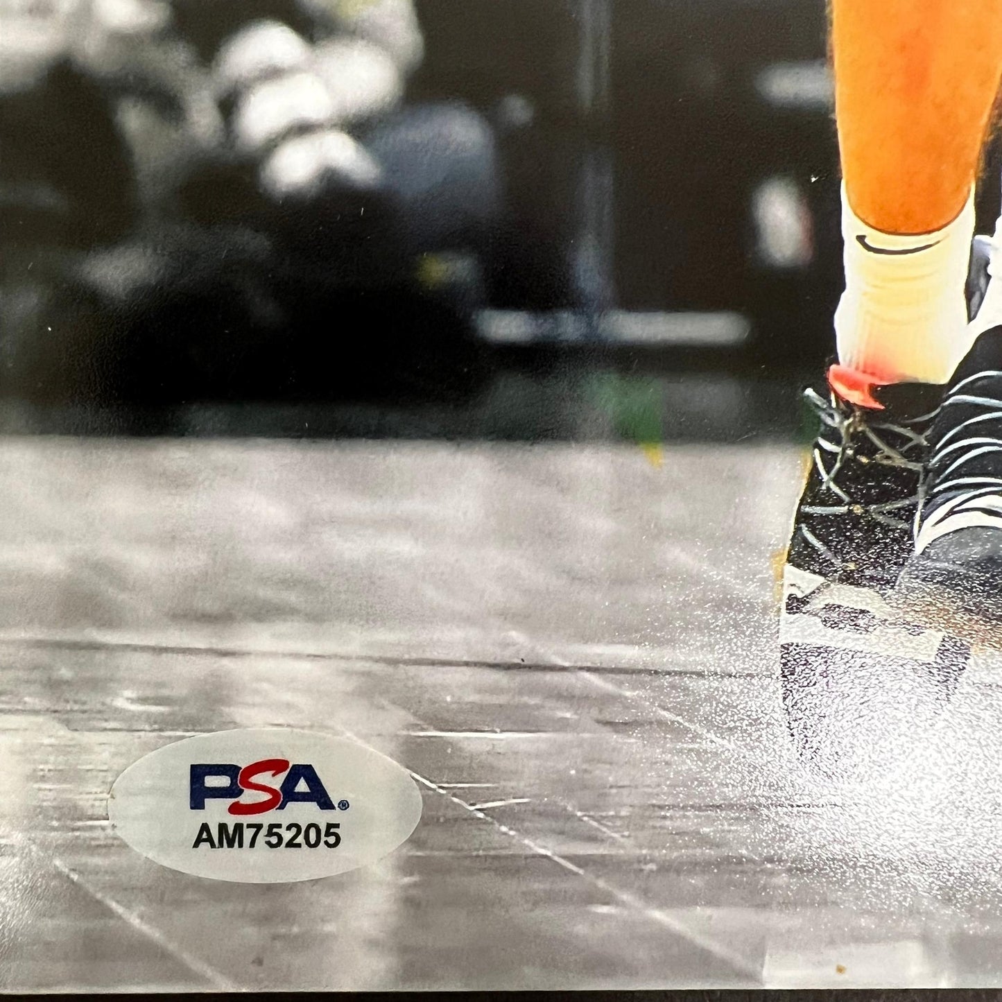 Malcolm Brogdon signed 11x14 photo PSA/DNA Milwaukee Bucks Indiana Pacers Autogr