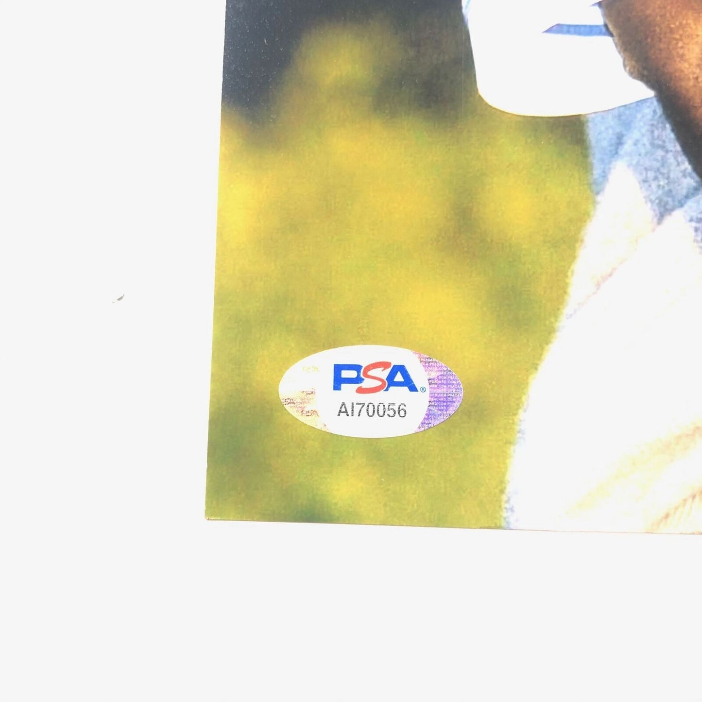 Vijay Singh Signed 11x14 Photo PSA/DNA Autographed PGA Golf