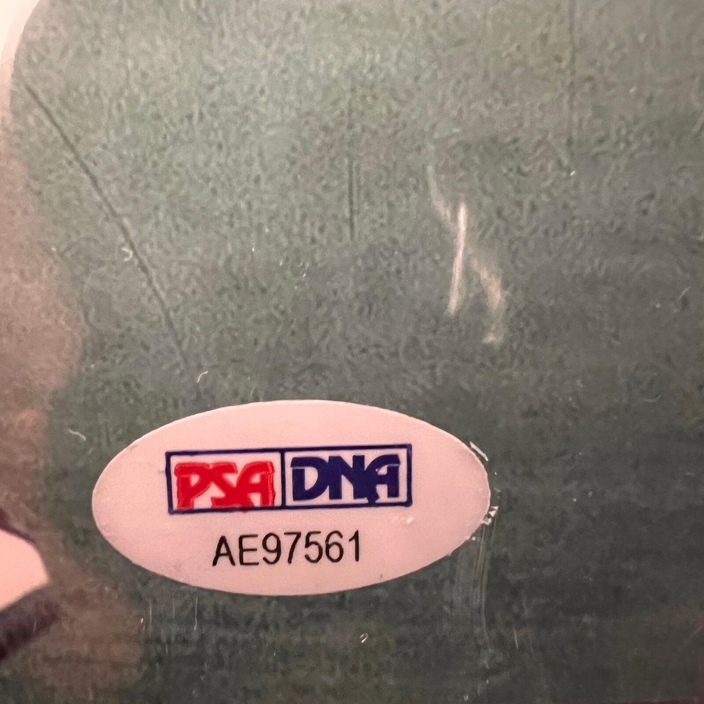 Terry Bradhsaw signed 8x10 photo PSA/DNA Beckett Encapsulated Steelers Autograph