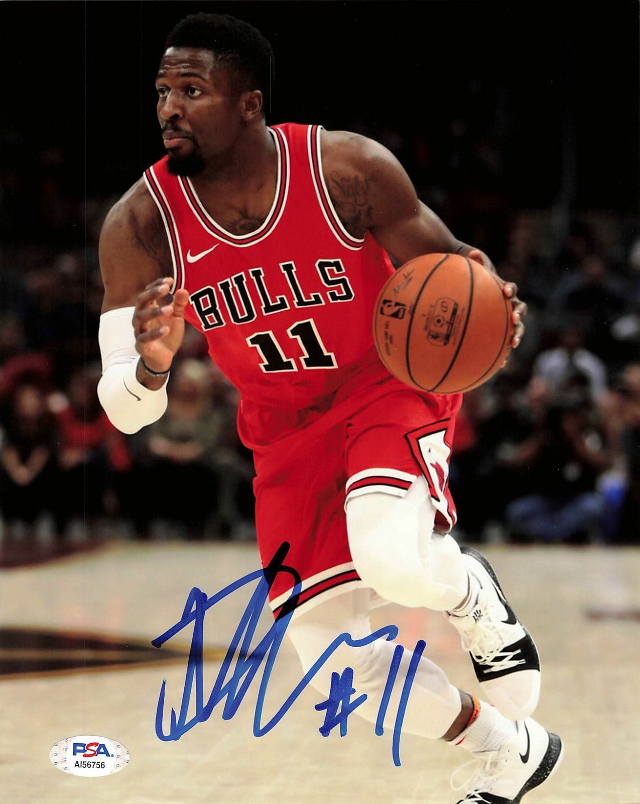 David Nwaba signed 8x10 photo PSA/DNA Chicago Bulls Autographed