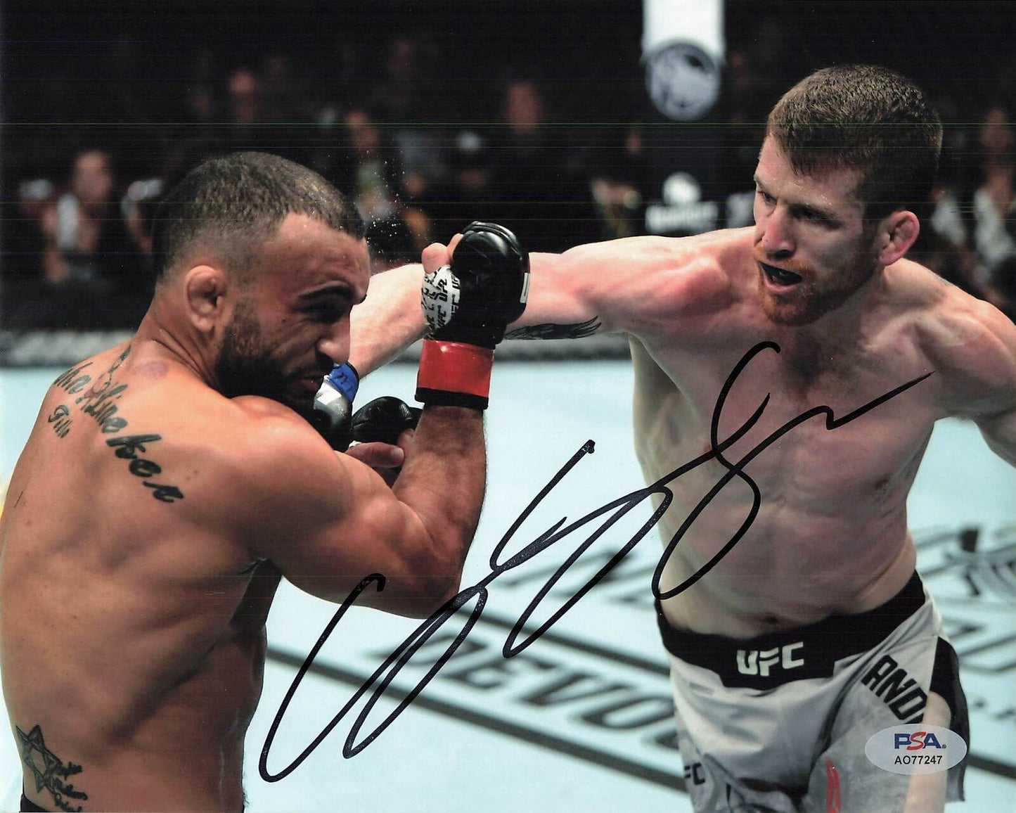 Cory Sandhagen signed 8x10 photo PSA/DNA UFC Bantamweight Autographed