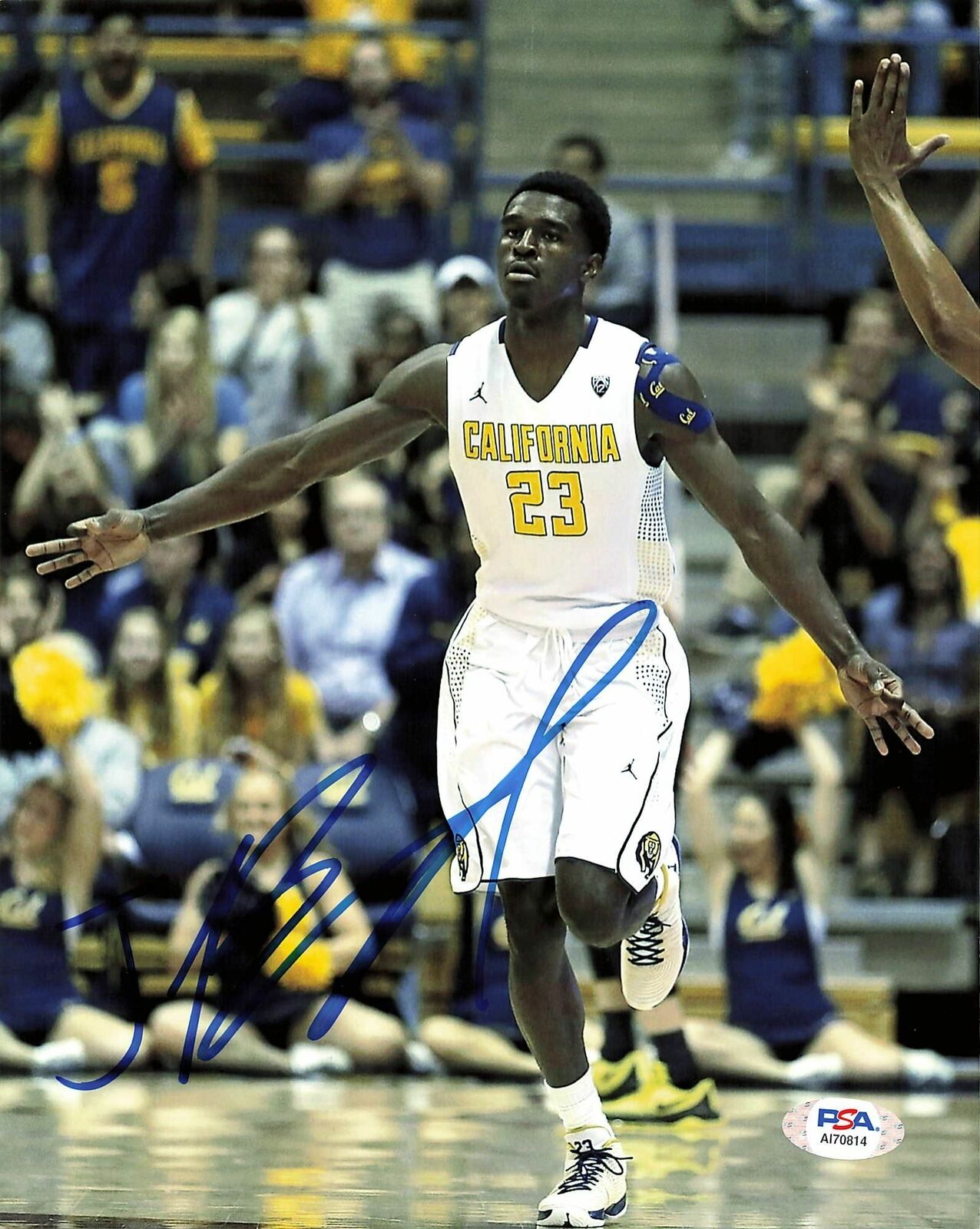 Jabari Bird signed 8x10 photo PSA/DNA Cal Bears Autographed