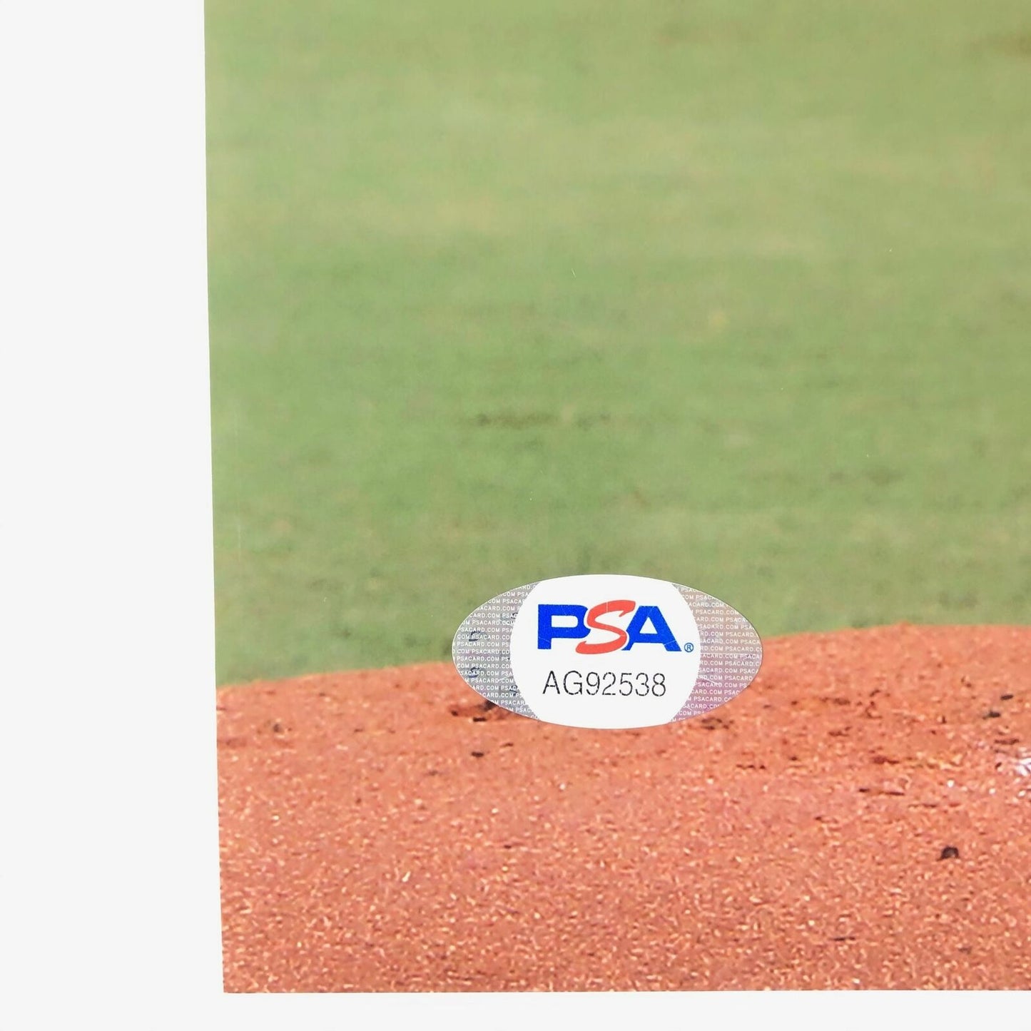 Erick Fedde signed 11x14 Photo PSA/DNA Nationals autographed