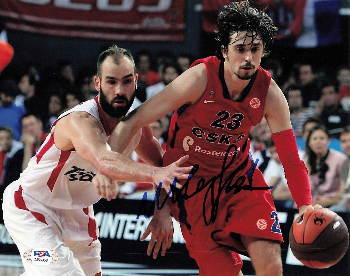 Alexey Shved signed 8x10 photo PSA/DNA New York Knicks Autographed