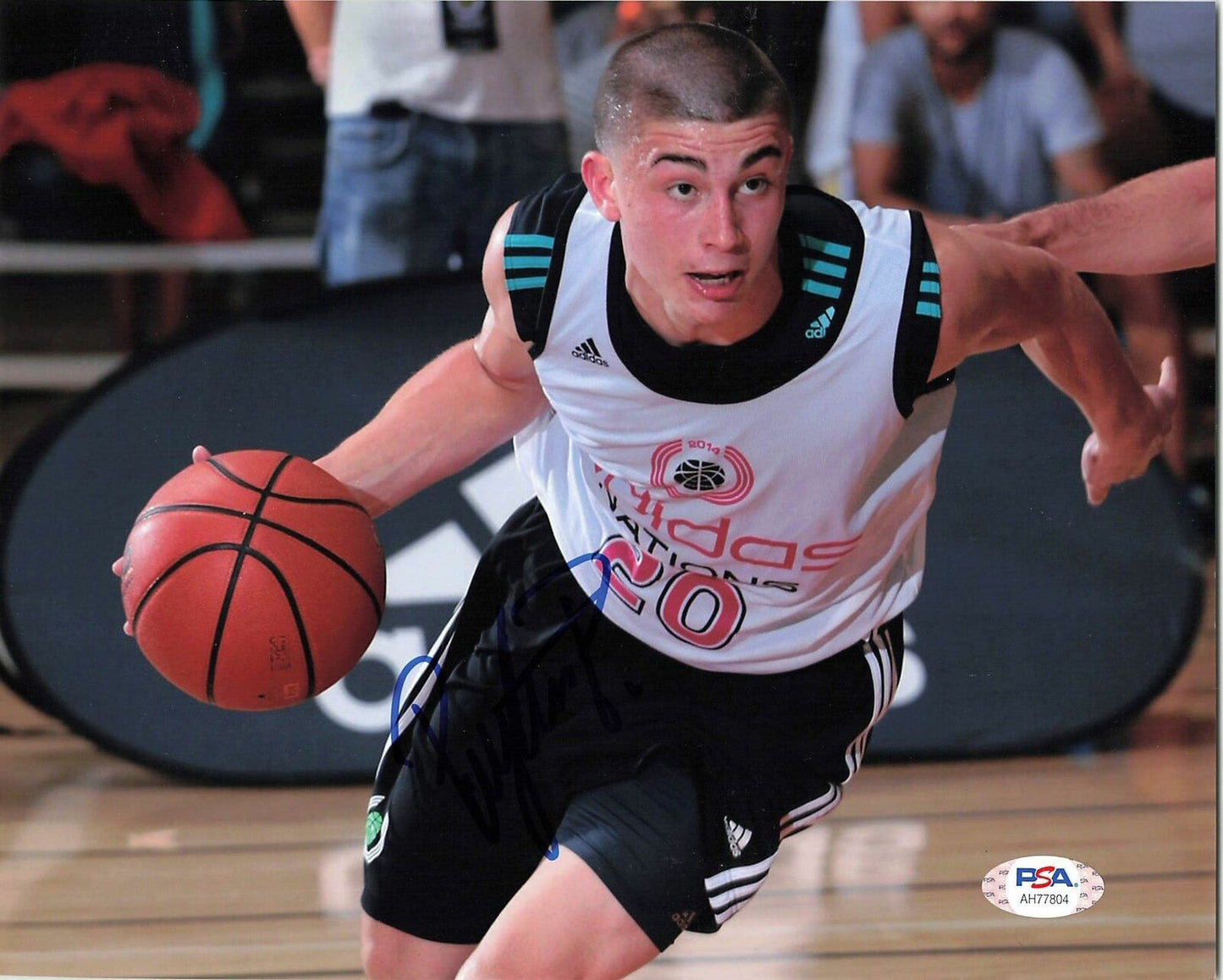 PAYTON PRITCHARD signed 8x10 photo PSA/DNA Boston Celtics Autographed