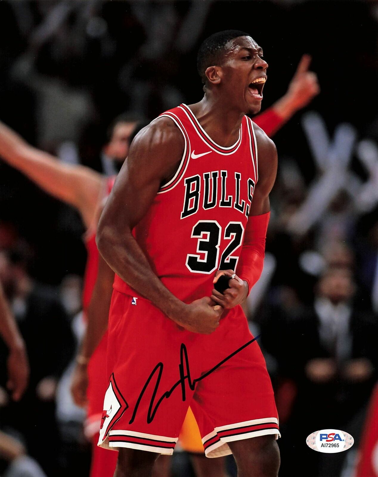 KRIS DUNN signed 8x10 photo PSA/DNA Chicago Bulls Autographed