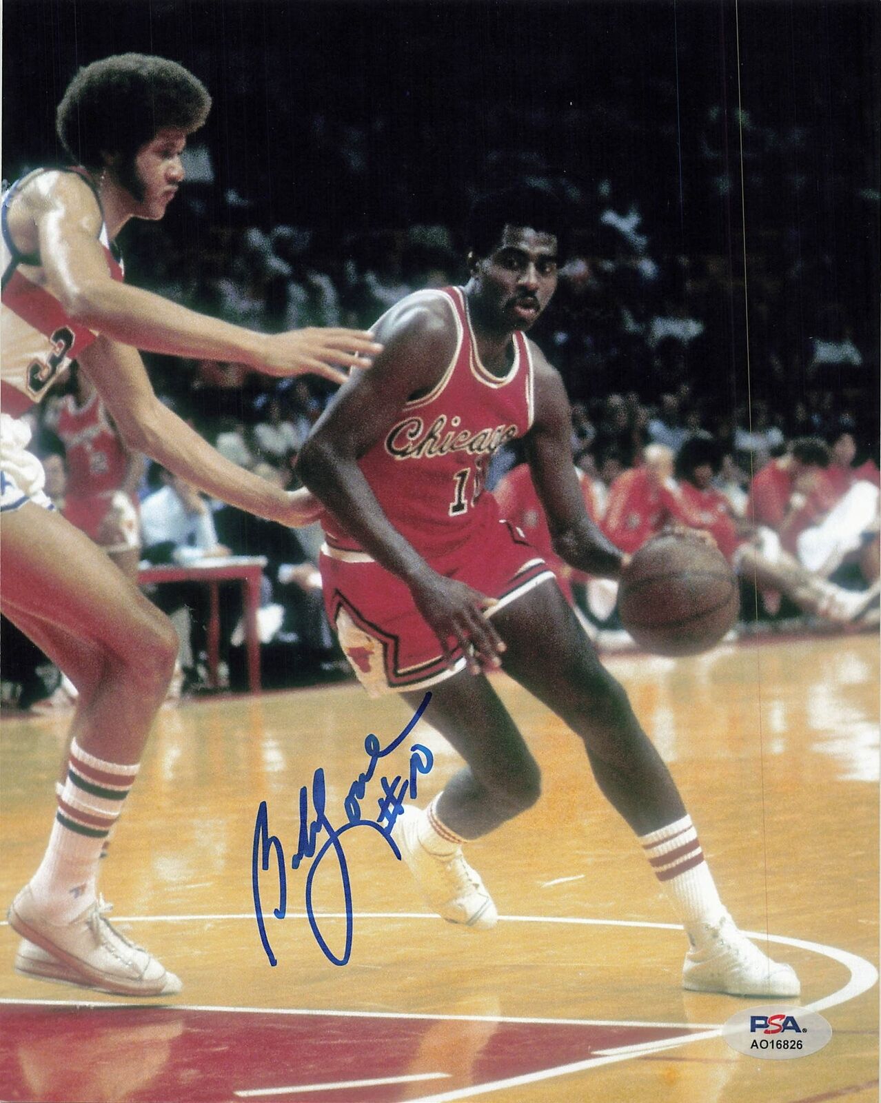 BOB LOVE signed 8x10 photo PSA/DNA Chicago Bulls Autographed