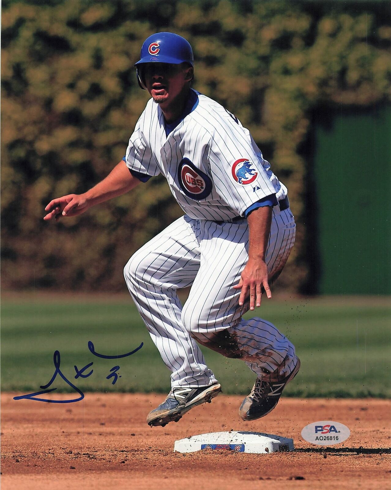 Steve Clevenger signed 8x10 photo PSA/DNA Chicago Cubs Autographed