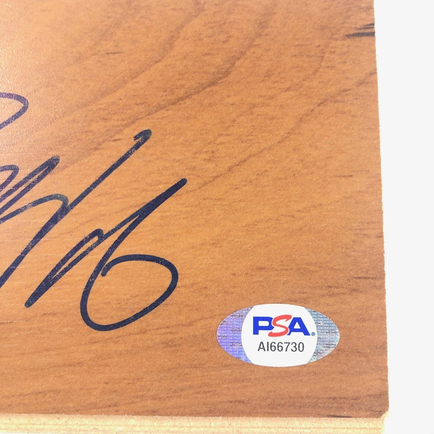 Paul Zipser Signed Floorboard PSA/DNA Autographed Chicago Bulls