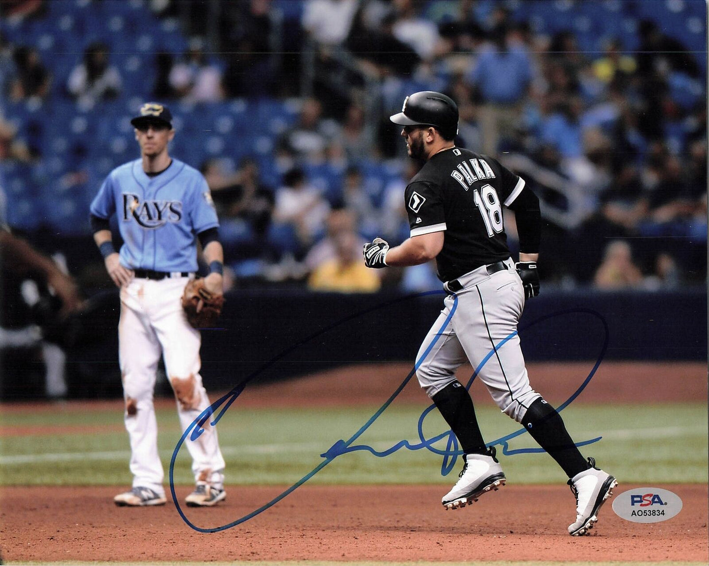 Daniel Palka signed 8x10 photo PSA/DNA Chicago White Sox Autographed