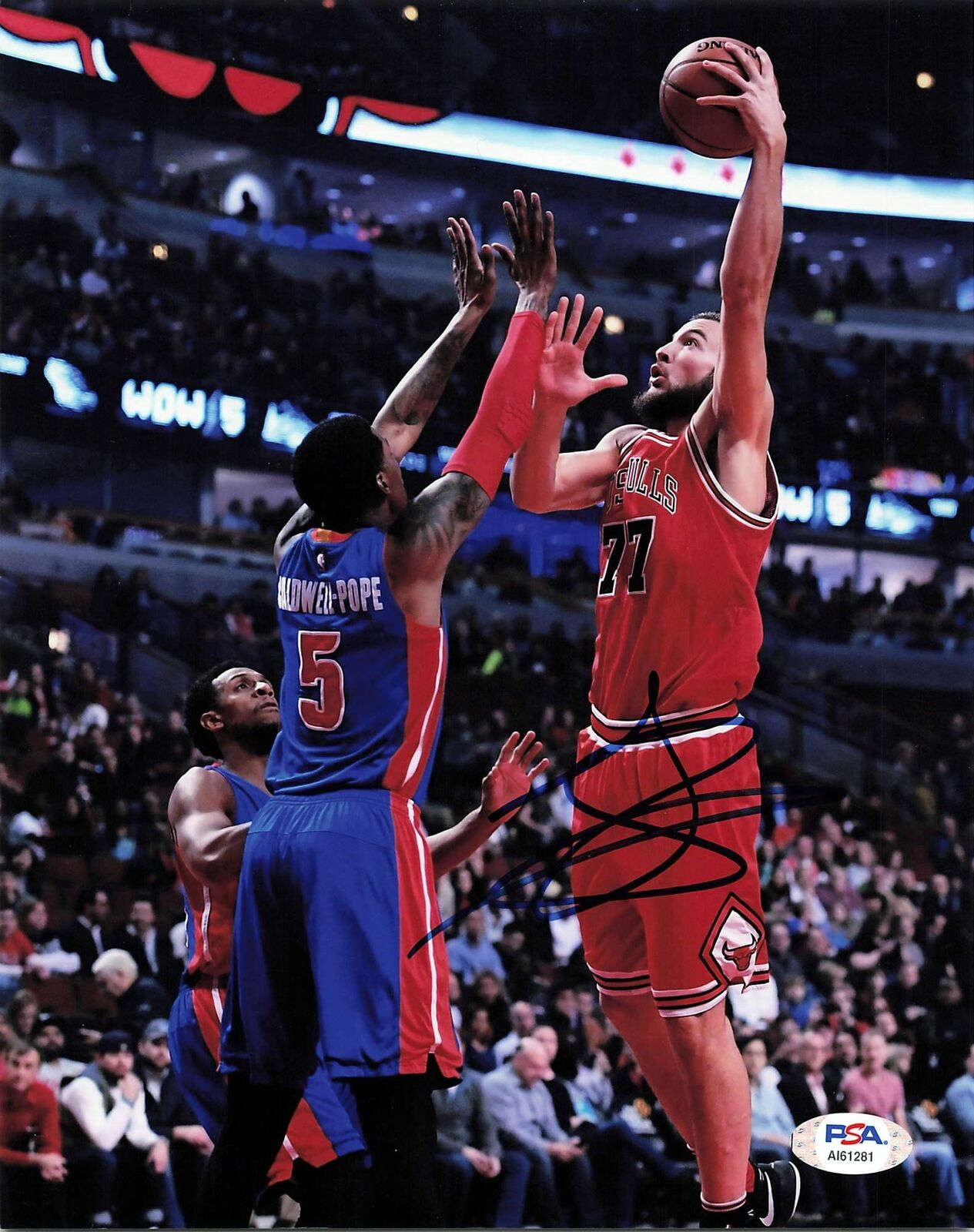 JOFFREY LAUVERGNE signed 8x10 photo PSA/DNA Chicago Bulls Autographed