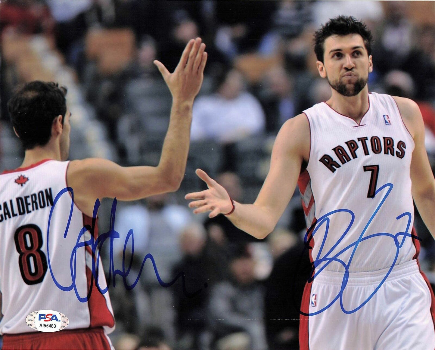 Andrea Bargnani Jose Calderon signed 8x10 photo PSA/DNA Raptors Autographed