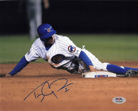 TONY CAMPANA signed 8x10 photo PSA/DNA Chicago Cubs Autographed