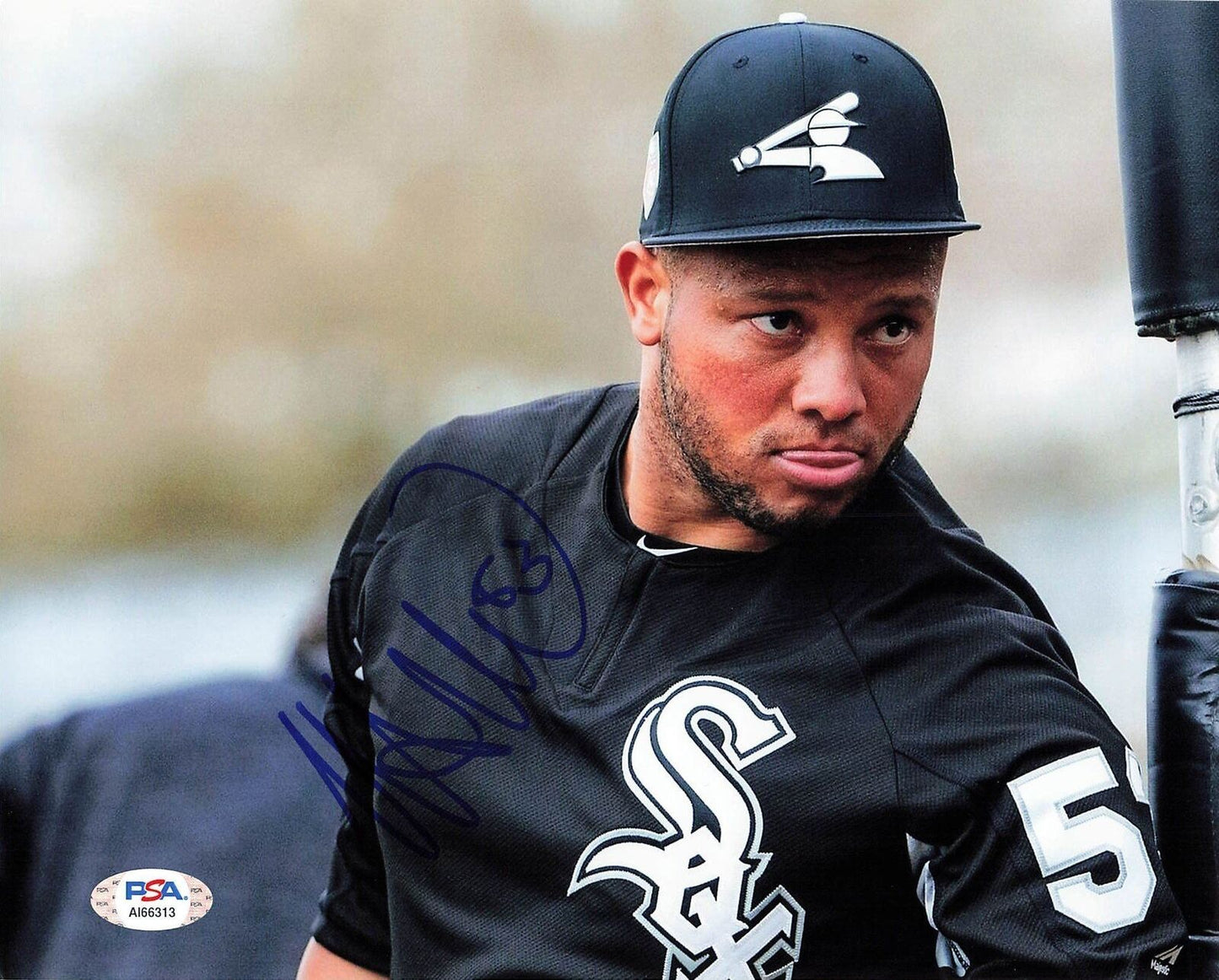 Welington Castillo signed 8x10 photo Chicago White Sox PSA/DNA Autographed