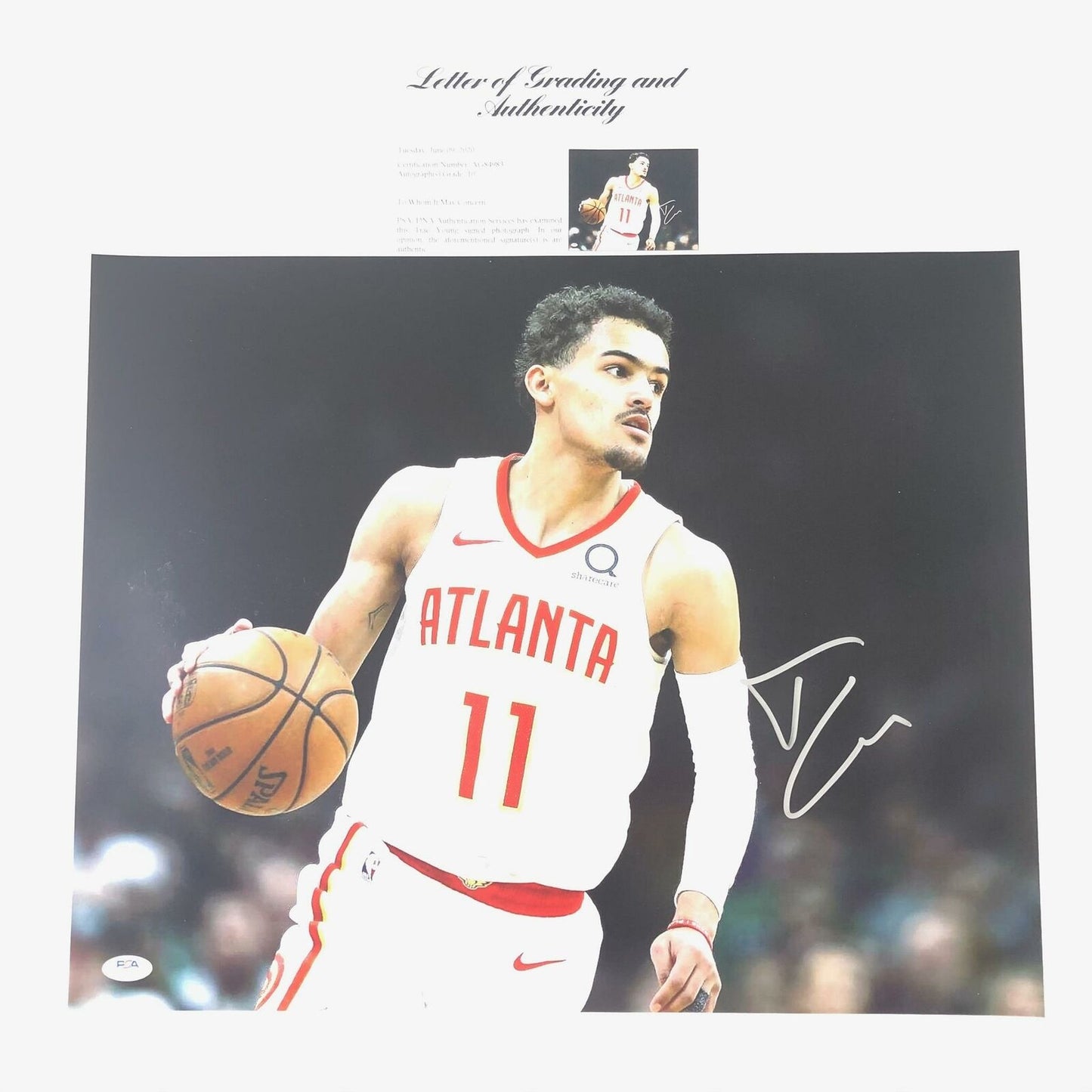 Trae Young signed 16x20 photo PSA/DNA Auto Grade 10 Atlanta Hawks LOA