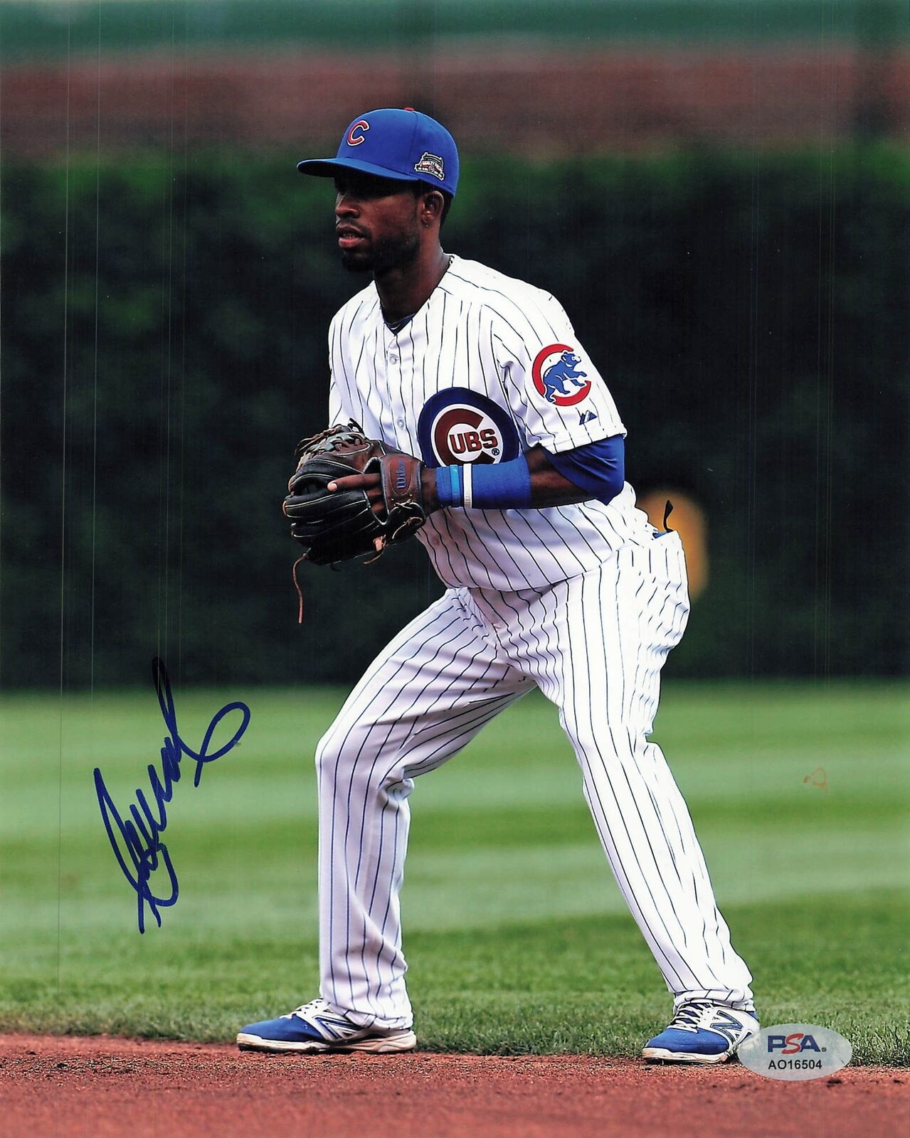 ARISMENDY ALCANTARA signed 8x10 photo PSA/DNA Chicago Cubs Autographed