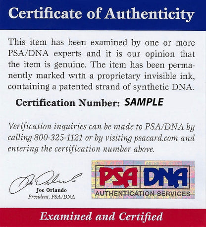 Scottie Lewis signed Basketball PSA/DNA NBA autographed