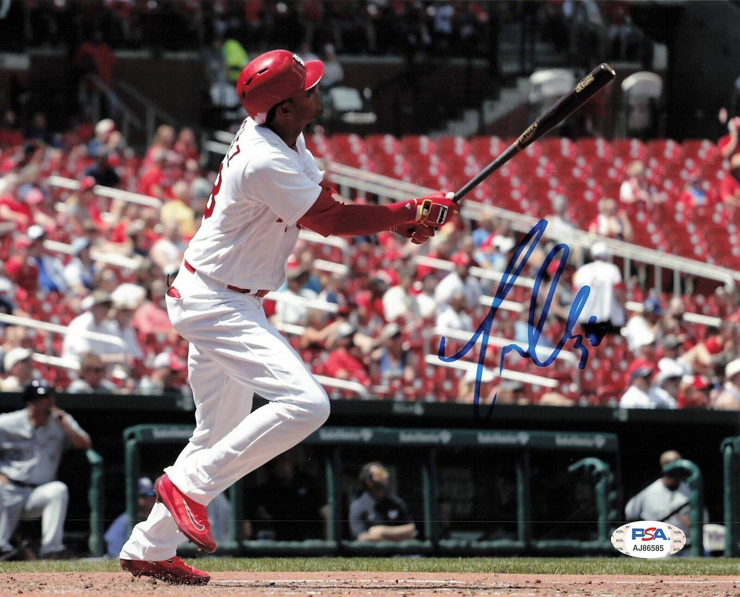 JOSE MARTINEZ signed 8x10 photo PSA/DNA St. Louis Cardinals Autographed