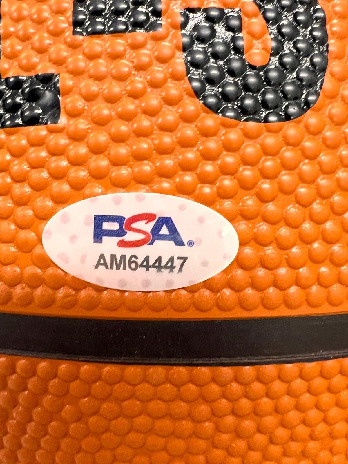 Admiral Schofield signed Basketball PSA/DNA Autographed Magic