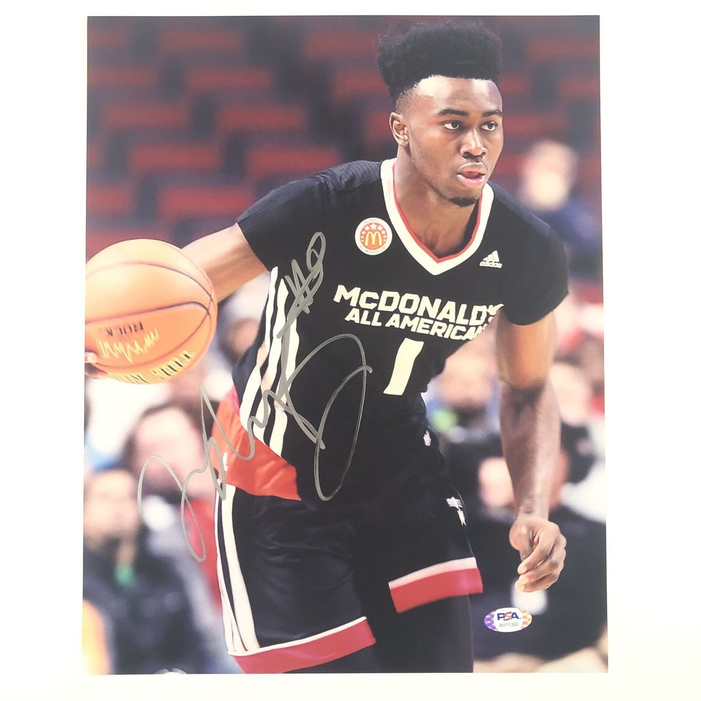 Jaylen Brown signed 11x14 photo PSA/DNA Cal Bears Autographed Celtics