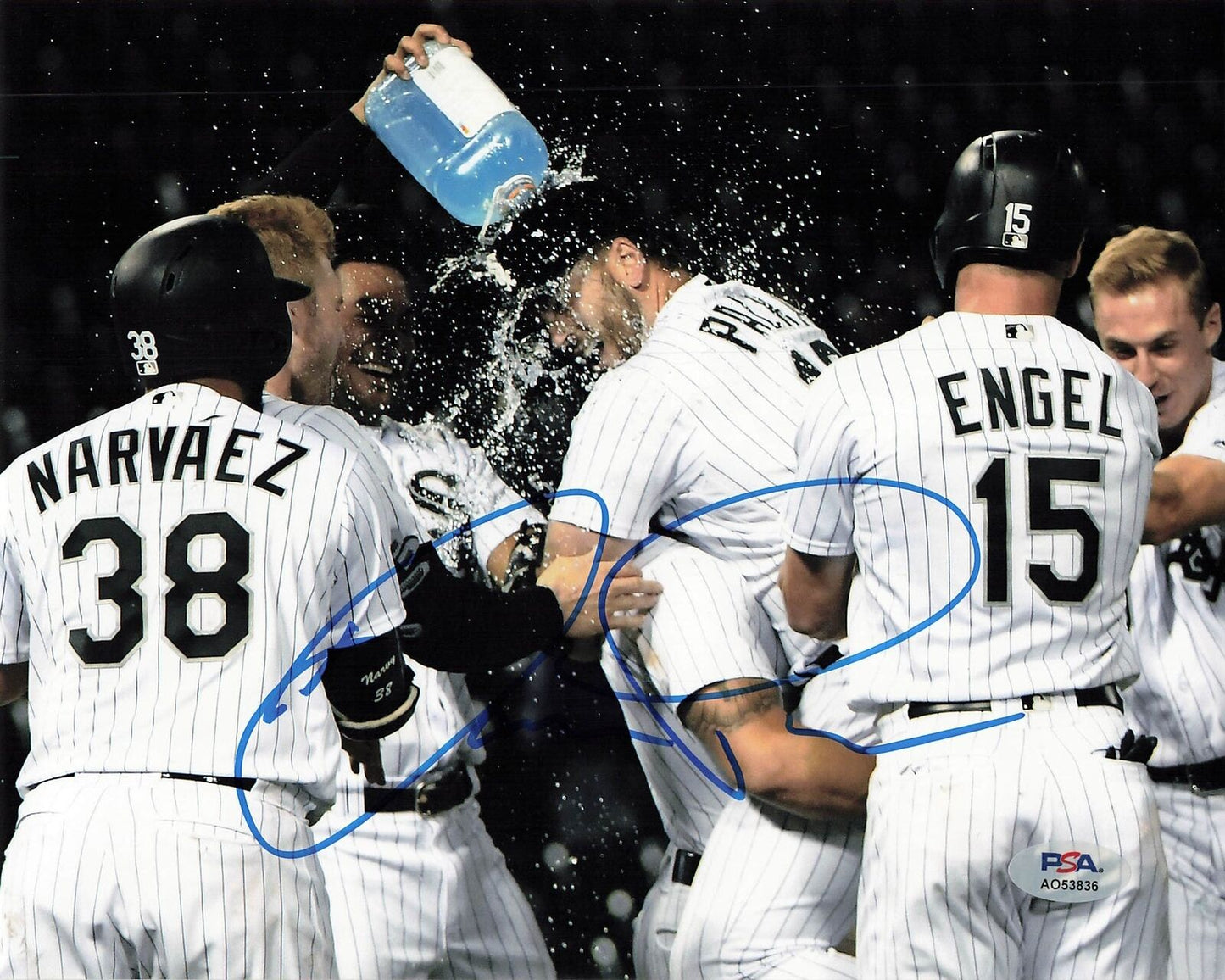 Daniel Palka signed 8x10 photo PSA/DNA Chicago White Sox Autographed