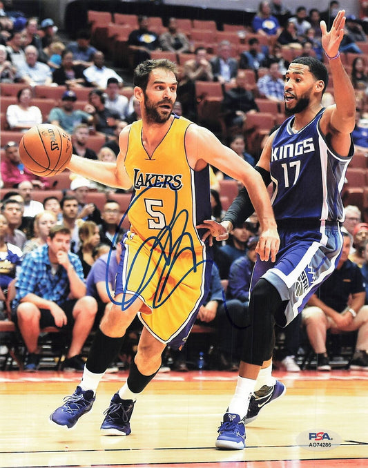 Jose Calderon signed 8x10 photo PSA/DNA Los Angeles Lakers Autographed