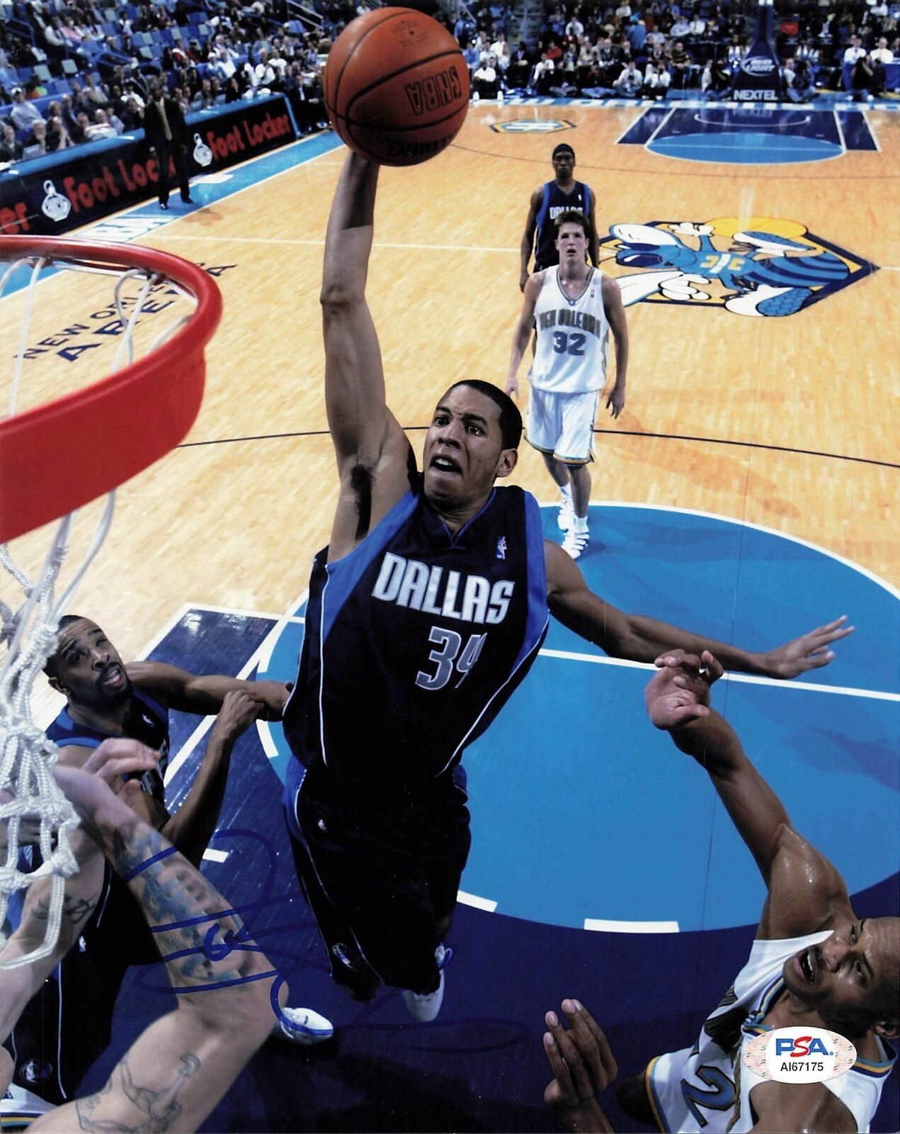 Devin Harris signed 8x10 photo PSA/DNA Dallas Mavericks Autographed