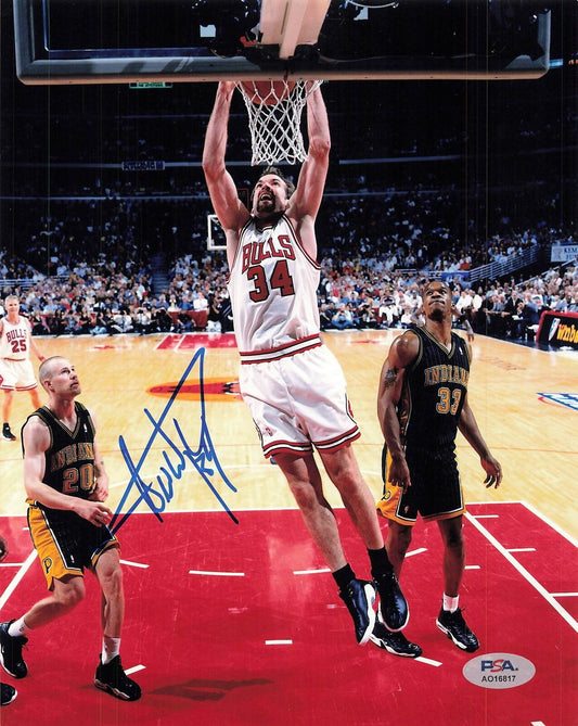 Denzel Valentine signed 8x10 photo PSA/DNA Chicago Bulls Autographed