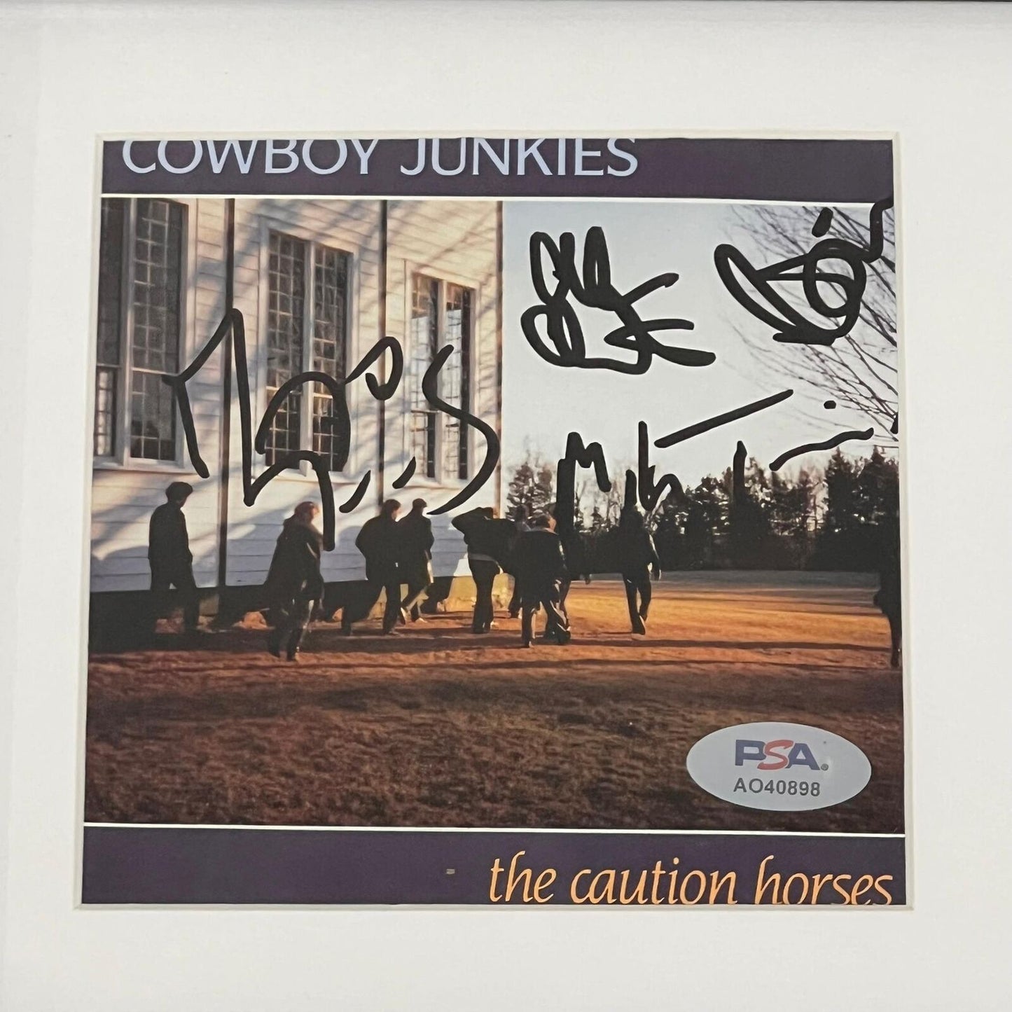 Margo Timmins Signed The Caution Horses Album CD Cover Framed PSA/DNA Autographe