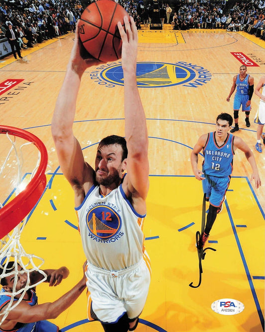 Andrew Bogut signed 8x10 photo PSA/DNA Golden State Warriors Autographed