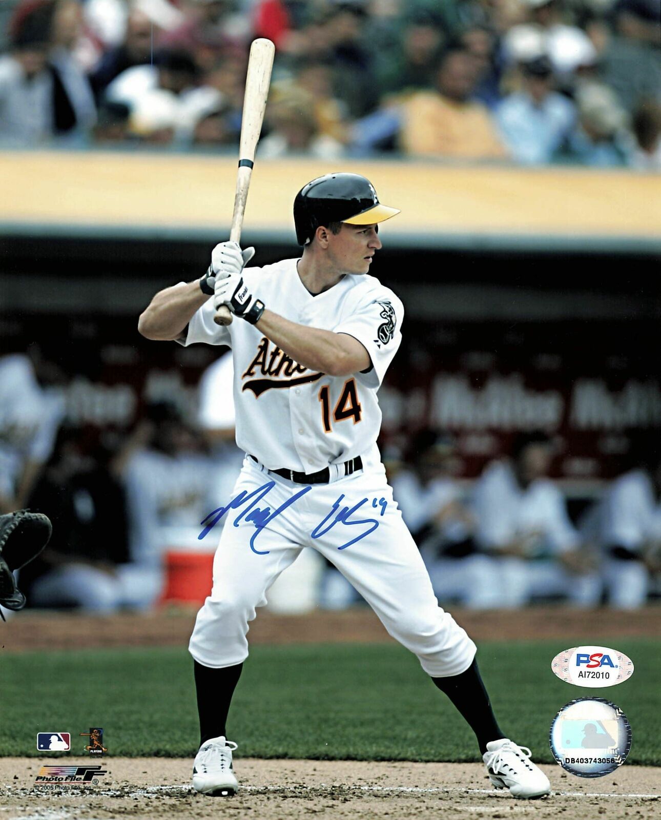 MARK ELLIS signed 8x10 photo PSA/DNA Oakland Athletics Autographed