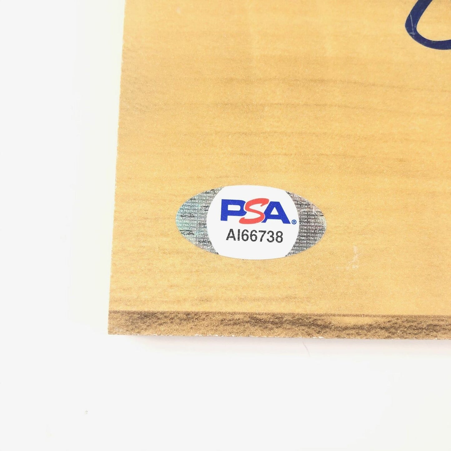 Elfrid Payton Signed Floorboard PSA/DNA Autographed