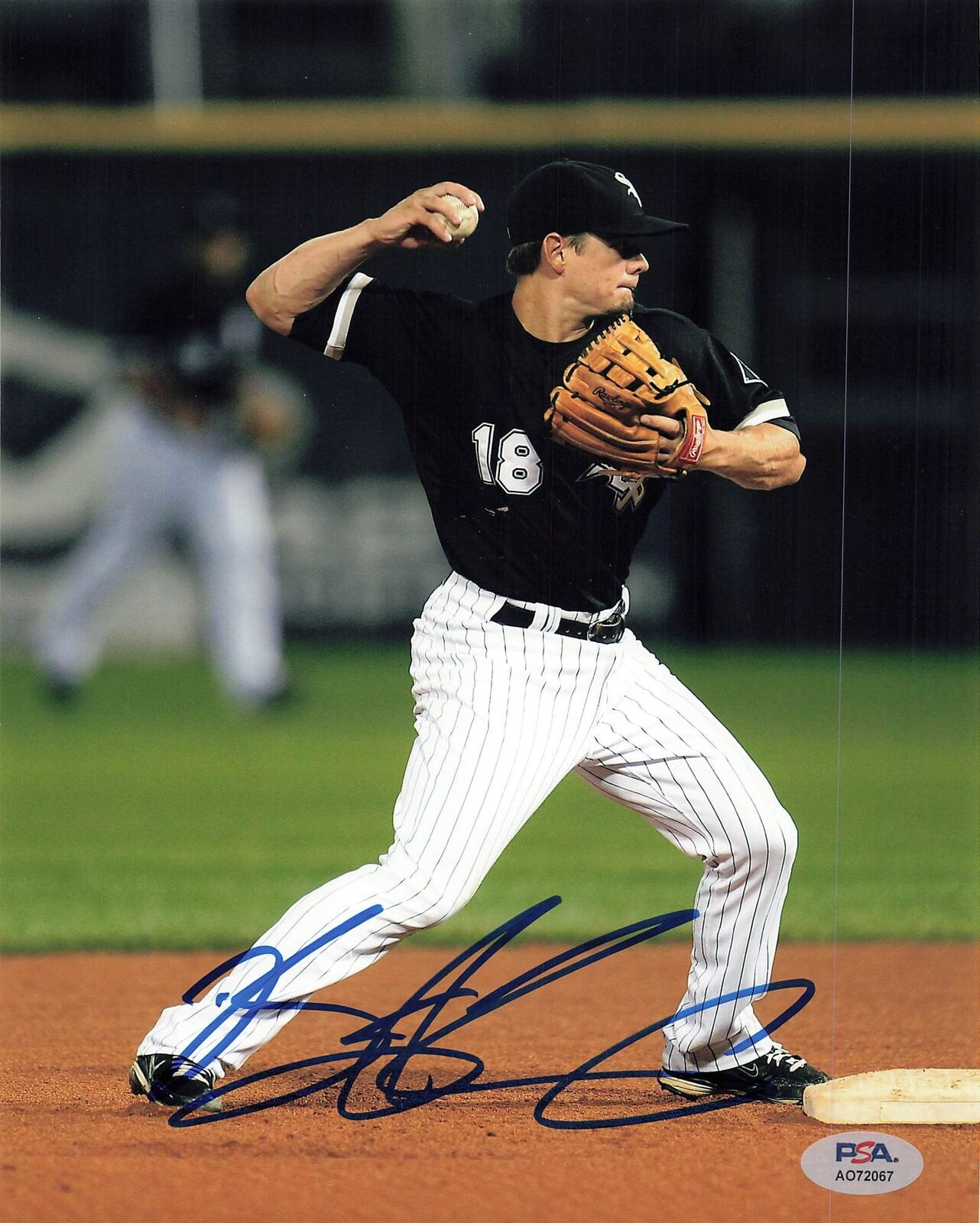 Connor Gillaspie signed 8x10 photo Chicago White Sox PSA/DNA Autographed