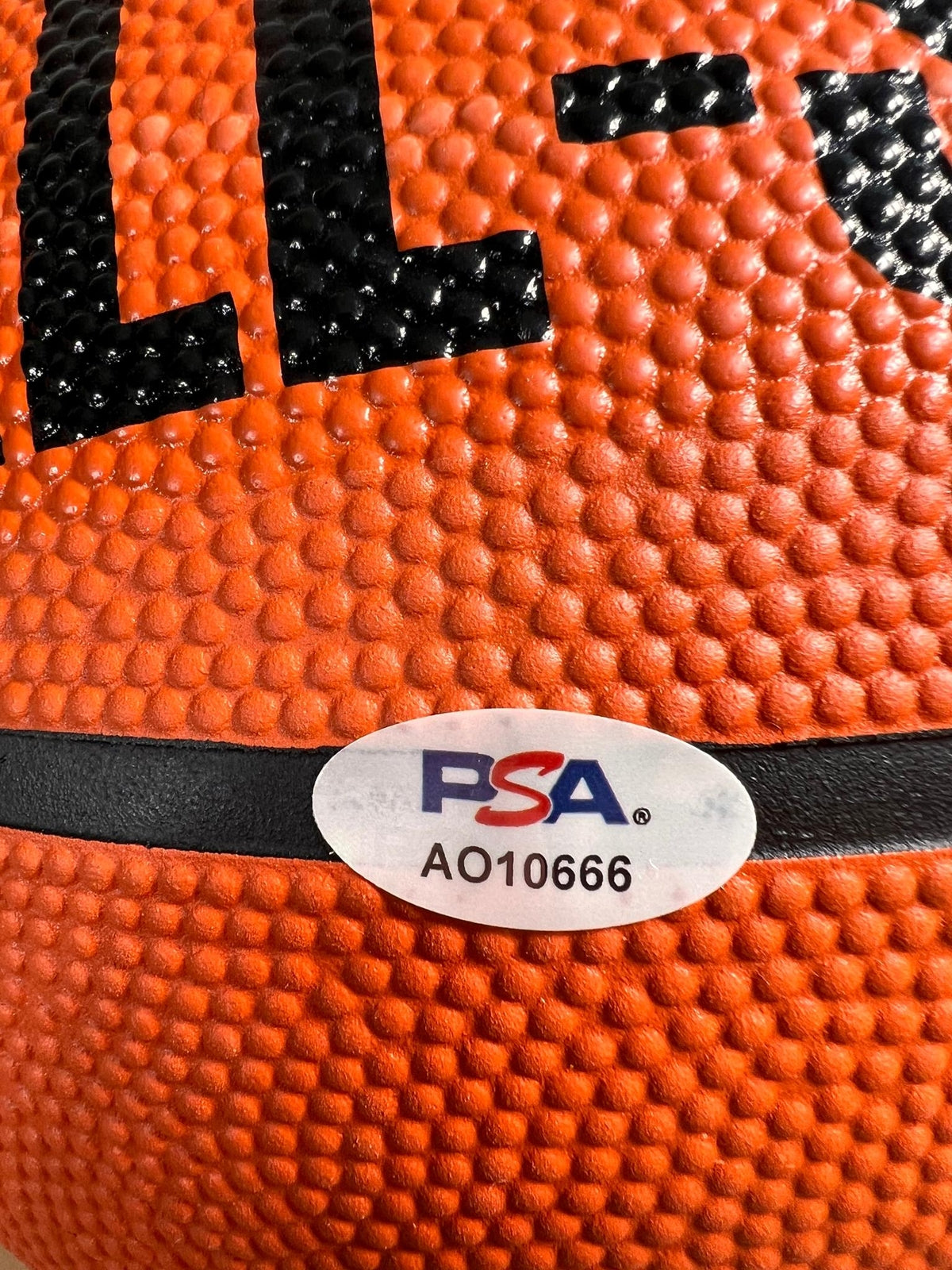 Baba Miller Signed Basketball PSA/DNA Autographed Florida State Seminoles NBA To