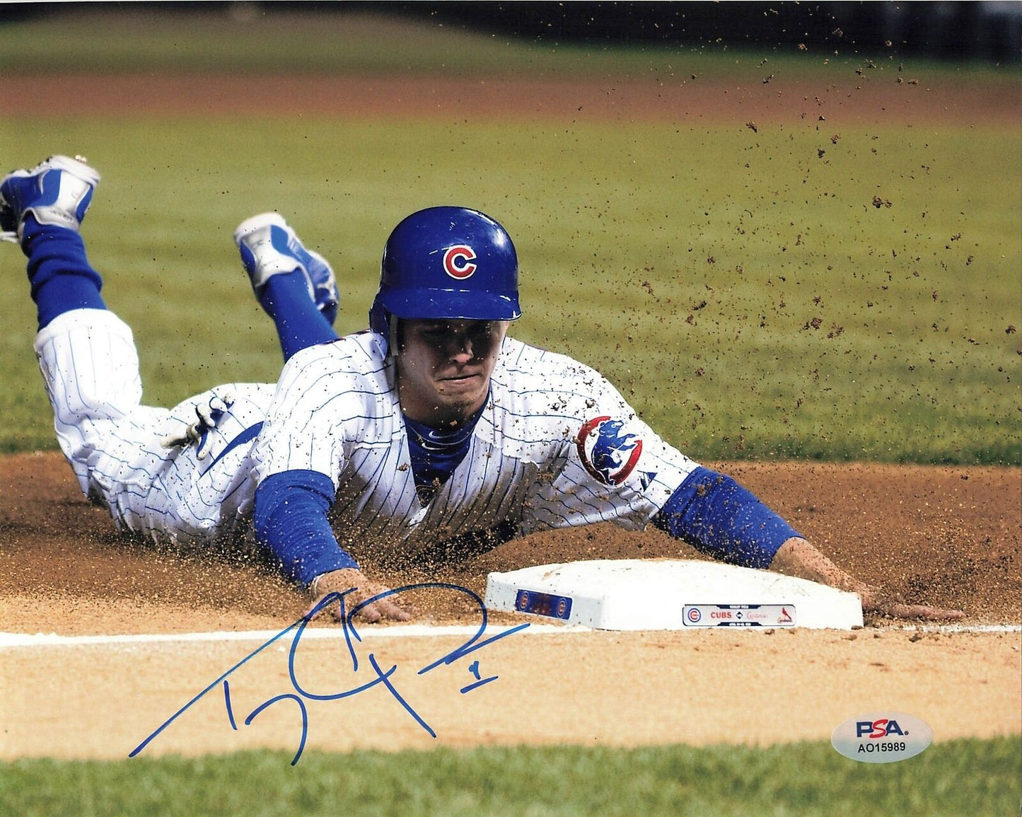 TONY CAMPANA signed 8x10 photo PSA/DNA Chicago Cubs Autographed