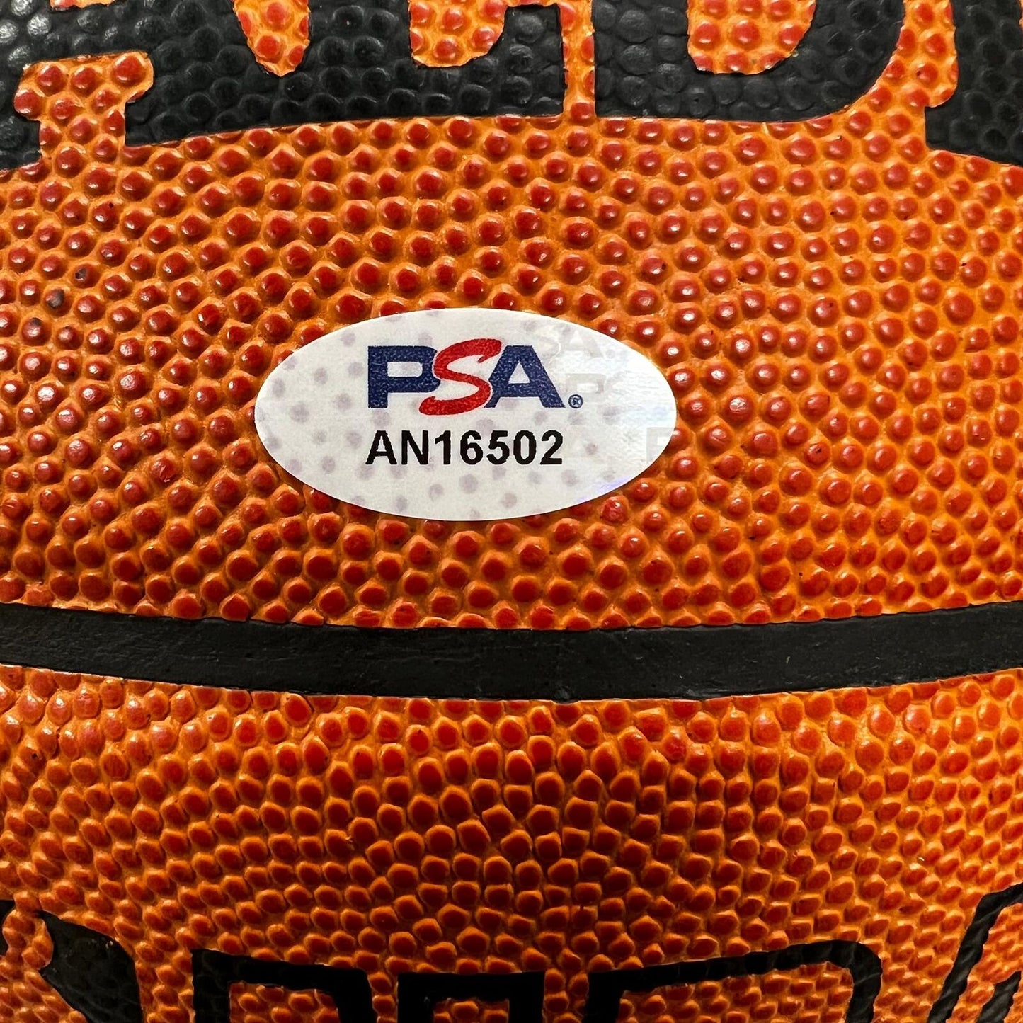 Rasheed Wallace signed Basketball PSA/DNA autographed