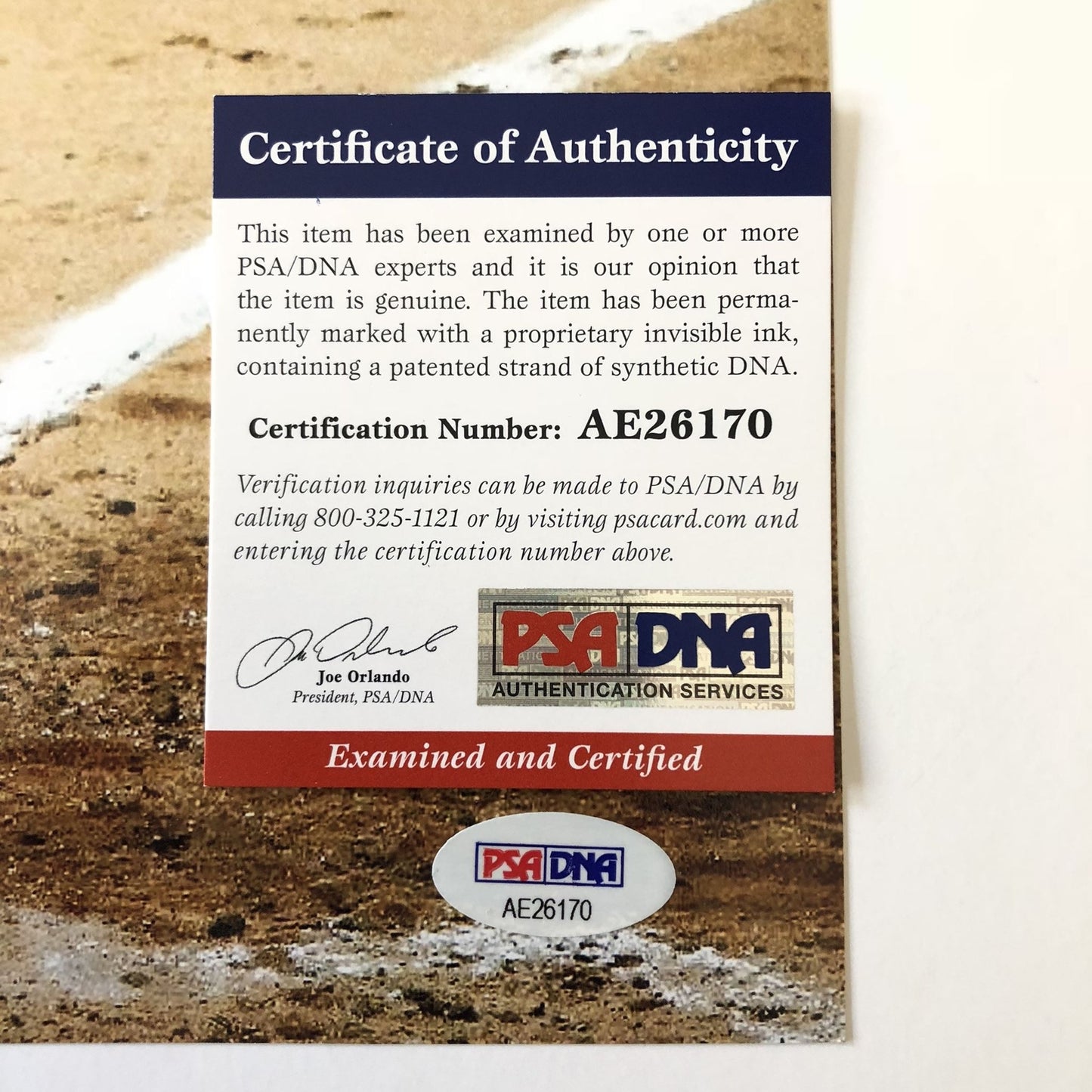 Carlos Correa signed 11x14 photo PSA/DNA Houston Astros Autographed