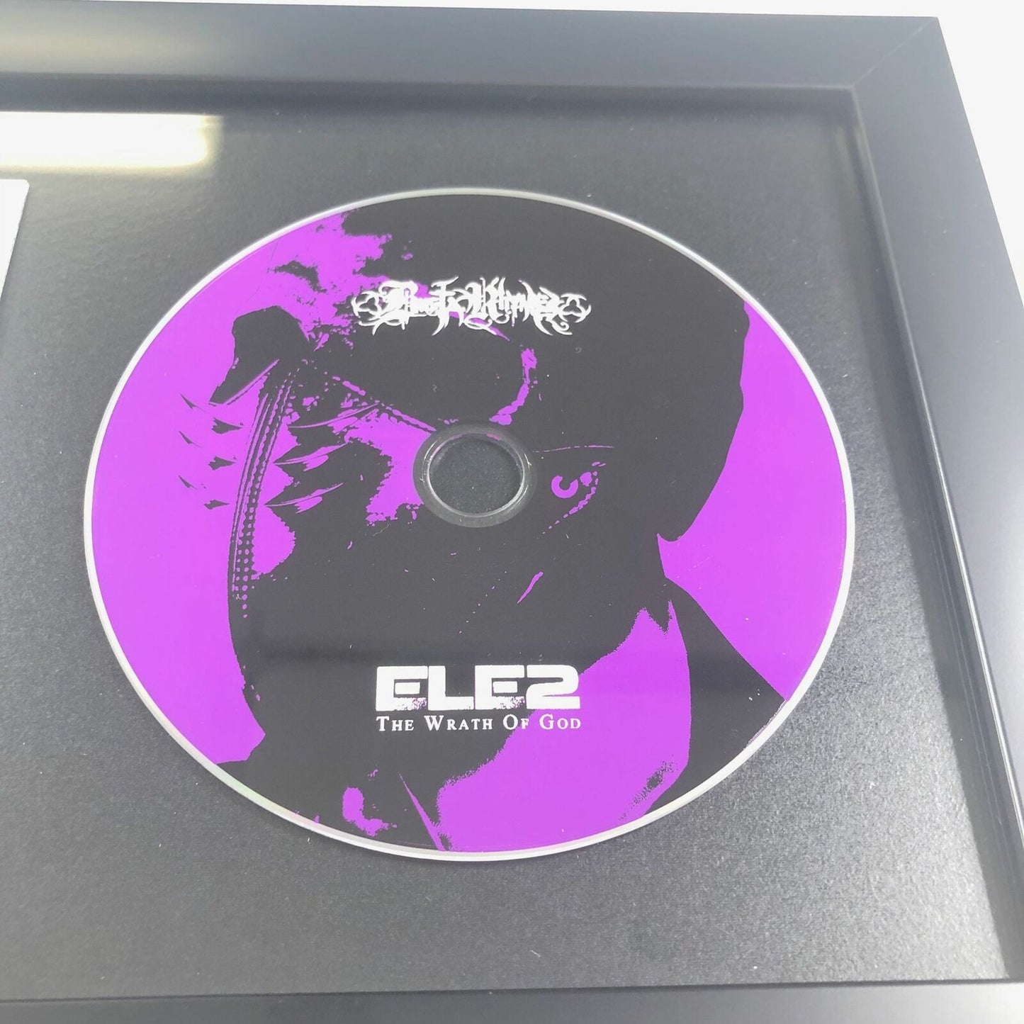 Busta Rhymes Signed CD Cover PSA/DNA Framed ELE 2 Autographed