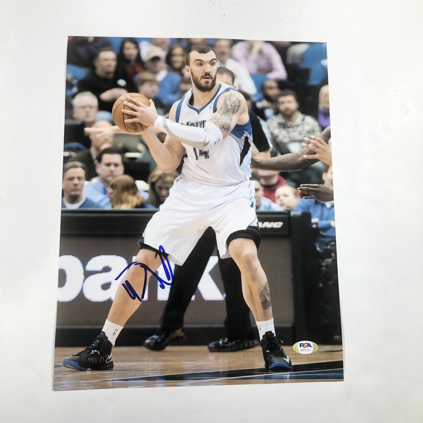 Nikola Pekovic signed 11x14 photo PSA/DNA Minnesota Timberwolves Autographed