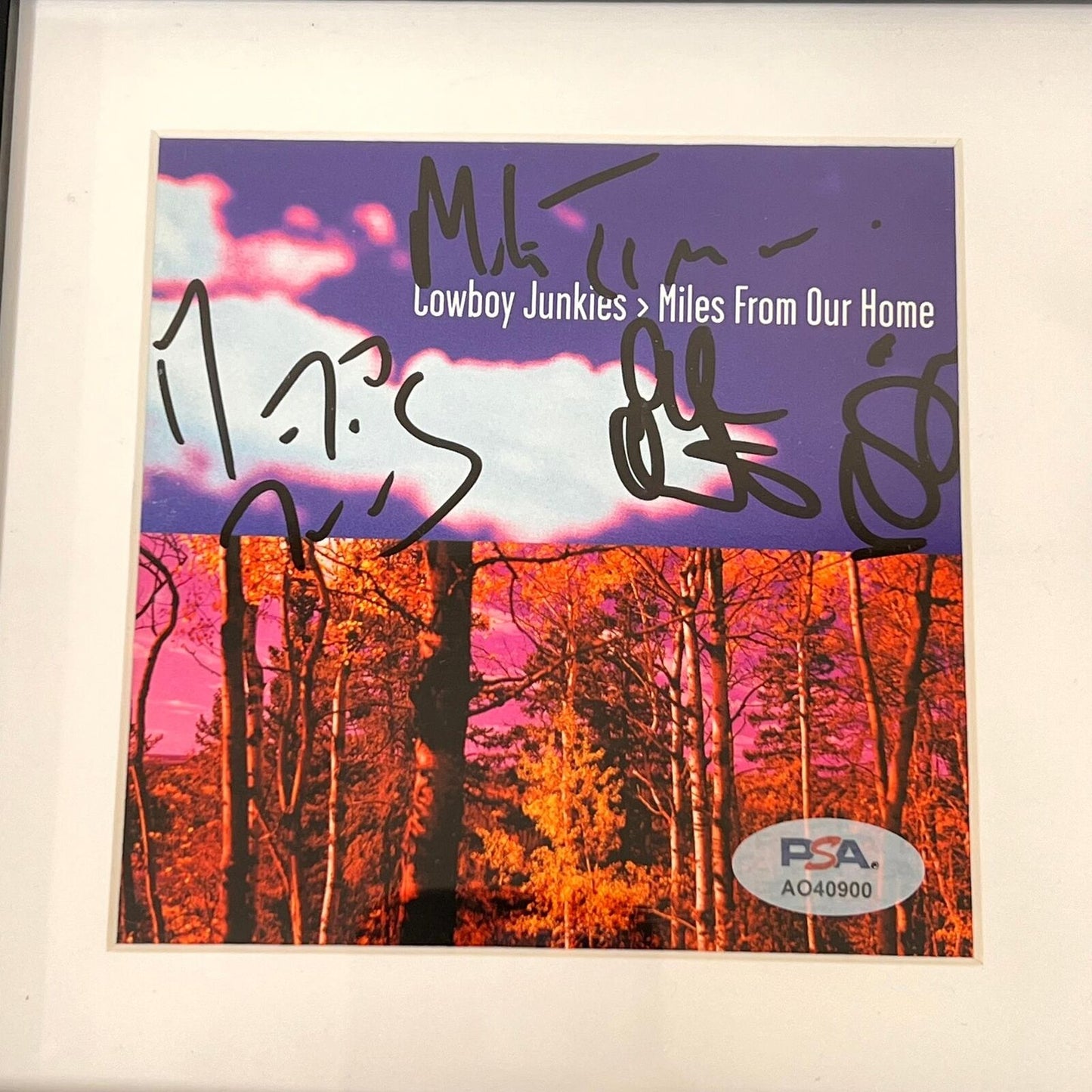 Cowboy Junkies Signed Miles From Our Home Album CD Cover Framed PSA/DNA Autograp