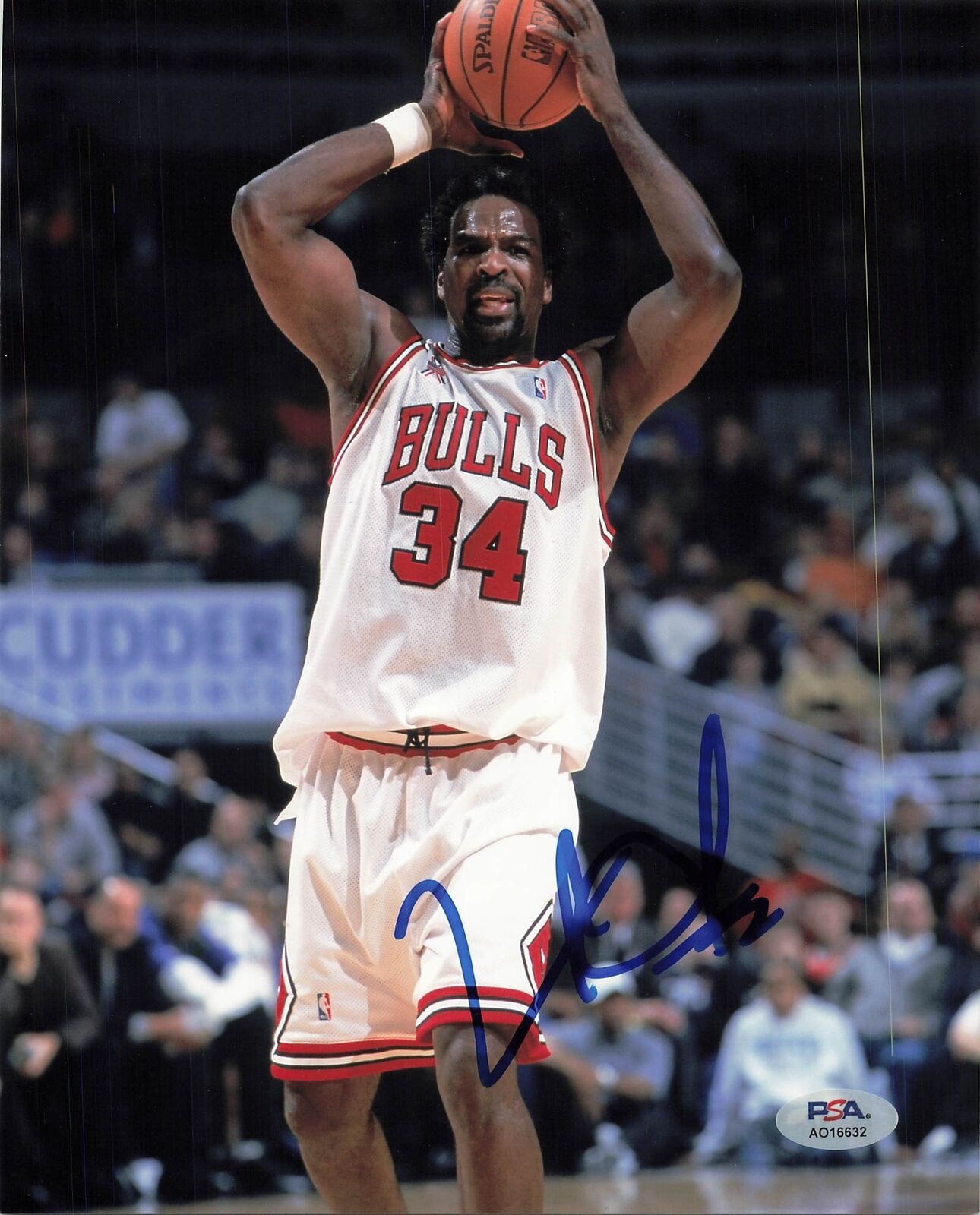 Charles Oakley signed 8x10 photo PSA Authenticated Chicago Bulls Autographed