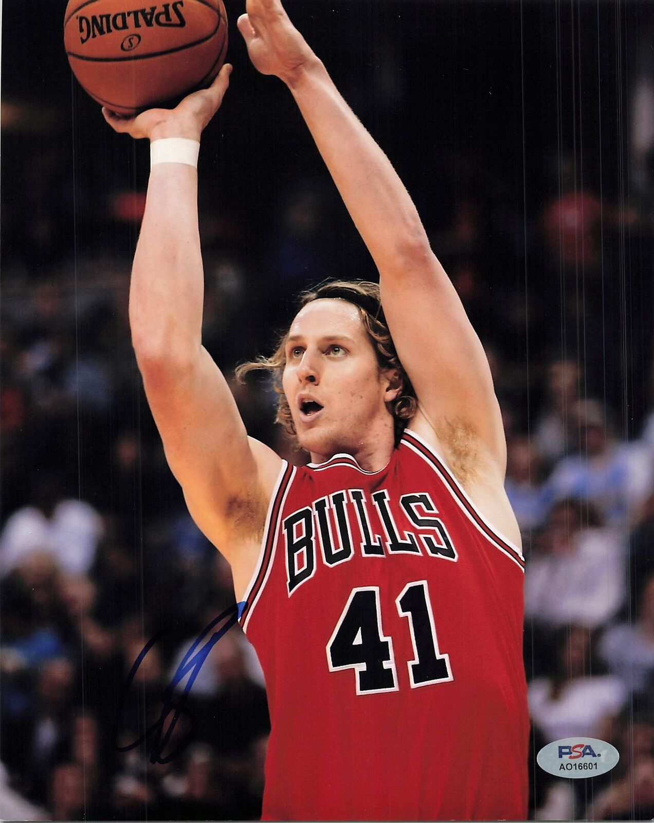 Cameron Bairstow signed 8x10 photo PSA/DNA Autographed Bulls