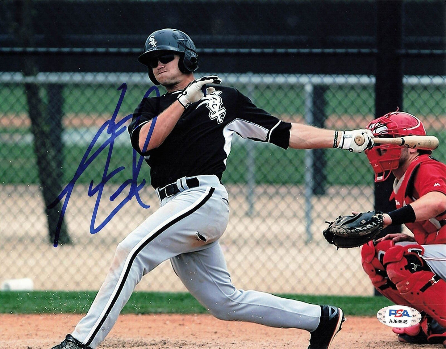 ADAM ENGEL signed 8x10 photo Chicago White Sox PSA/DNA Autographed