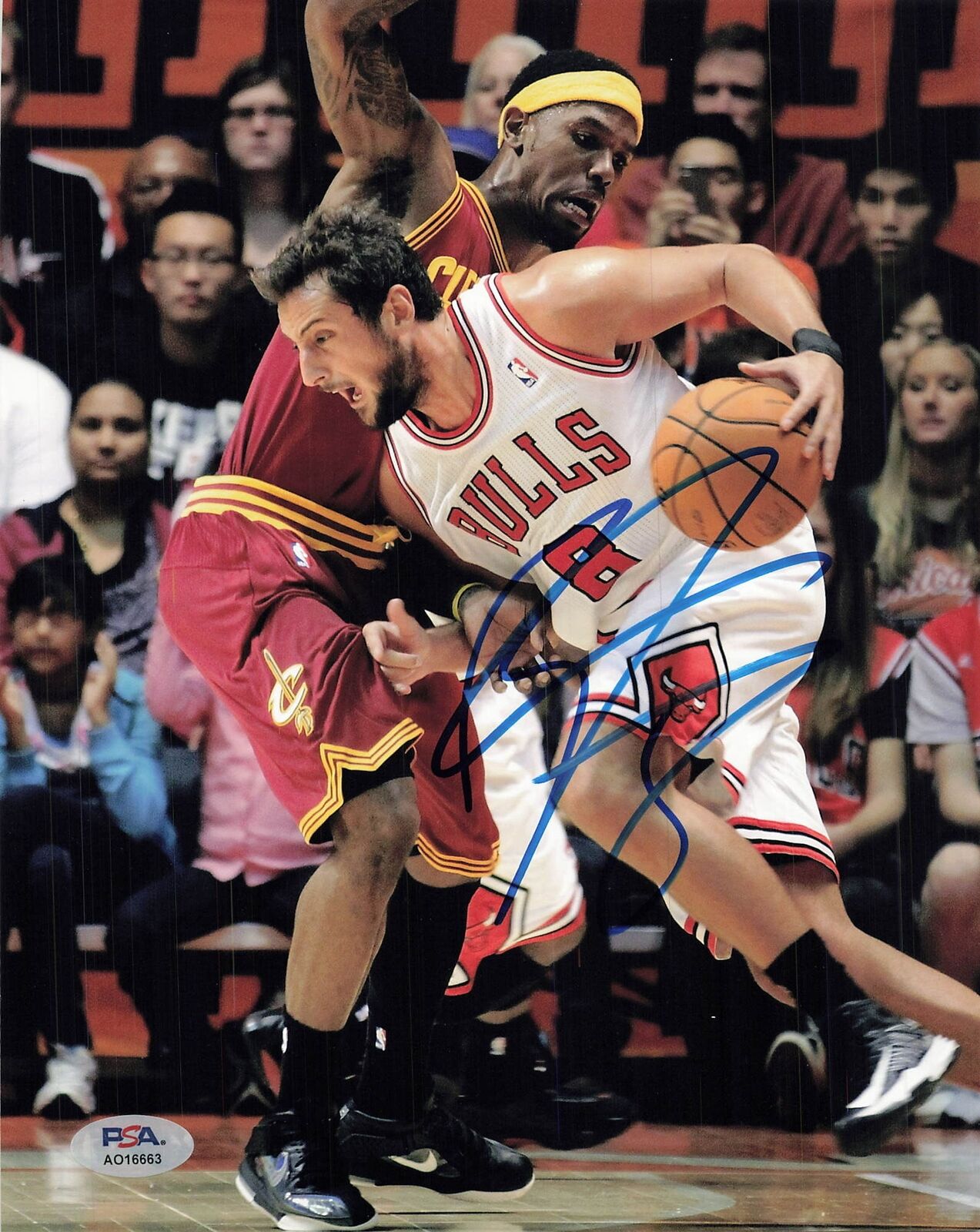 Marco Belinelli signed 8x10 photo PSA/DNA Chicago Bulls Autographed