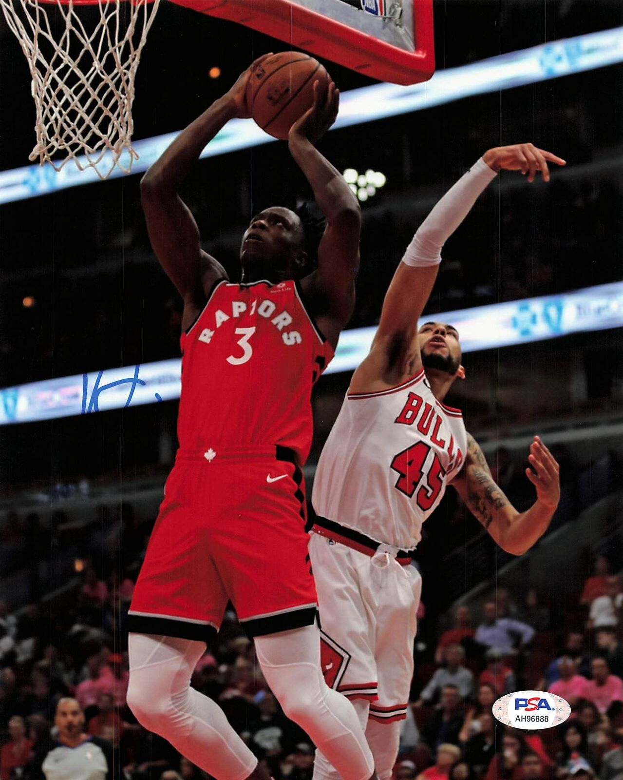 OG ANUNOBY signed 8x10 photo PSA/DNA Toronto Raptors Autographed